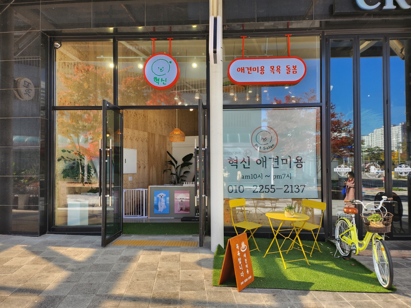 혁신애견미용