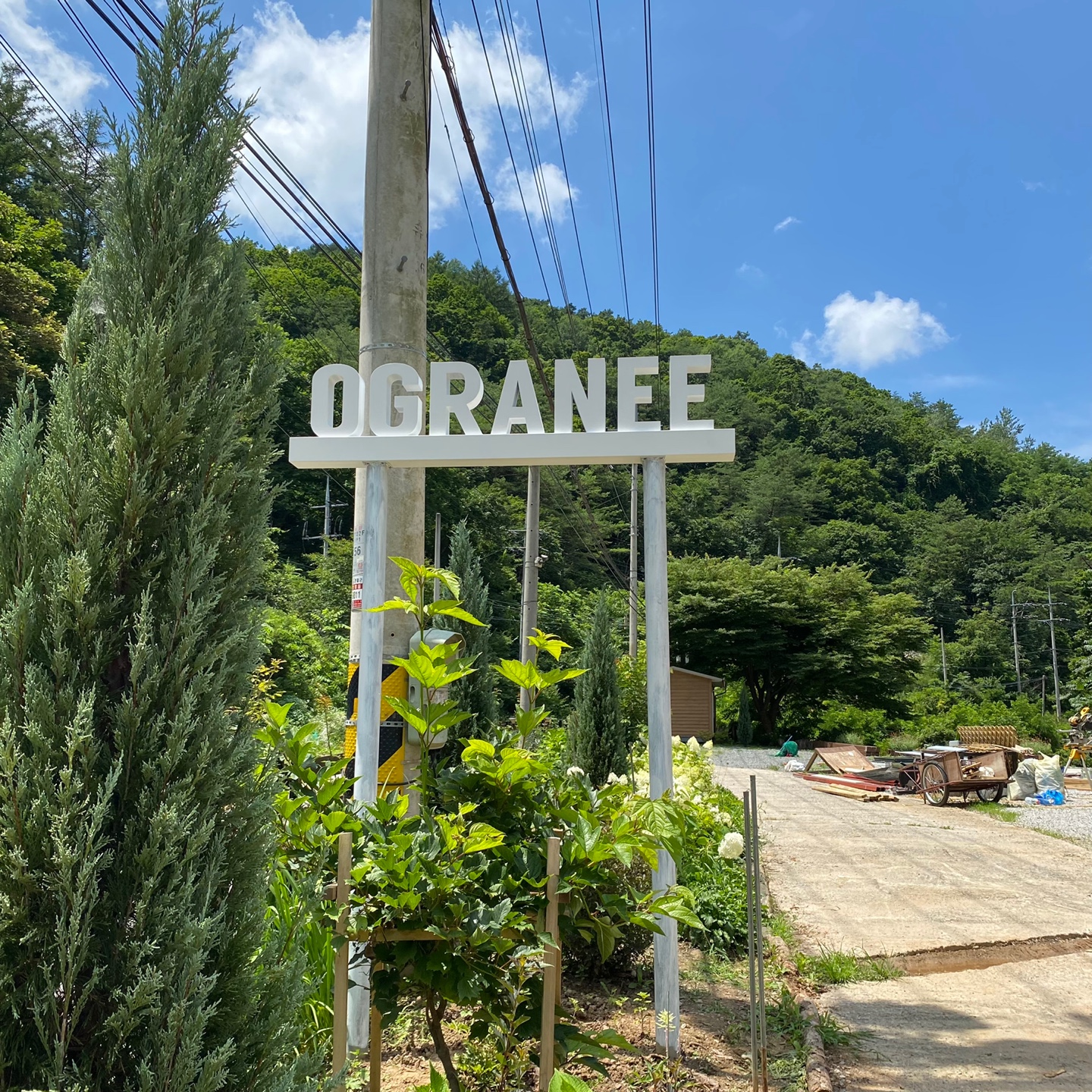 오그란이단팥빵 이미지