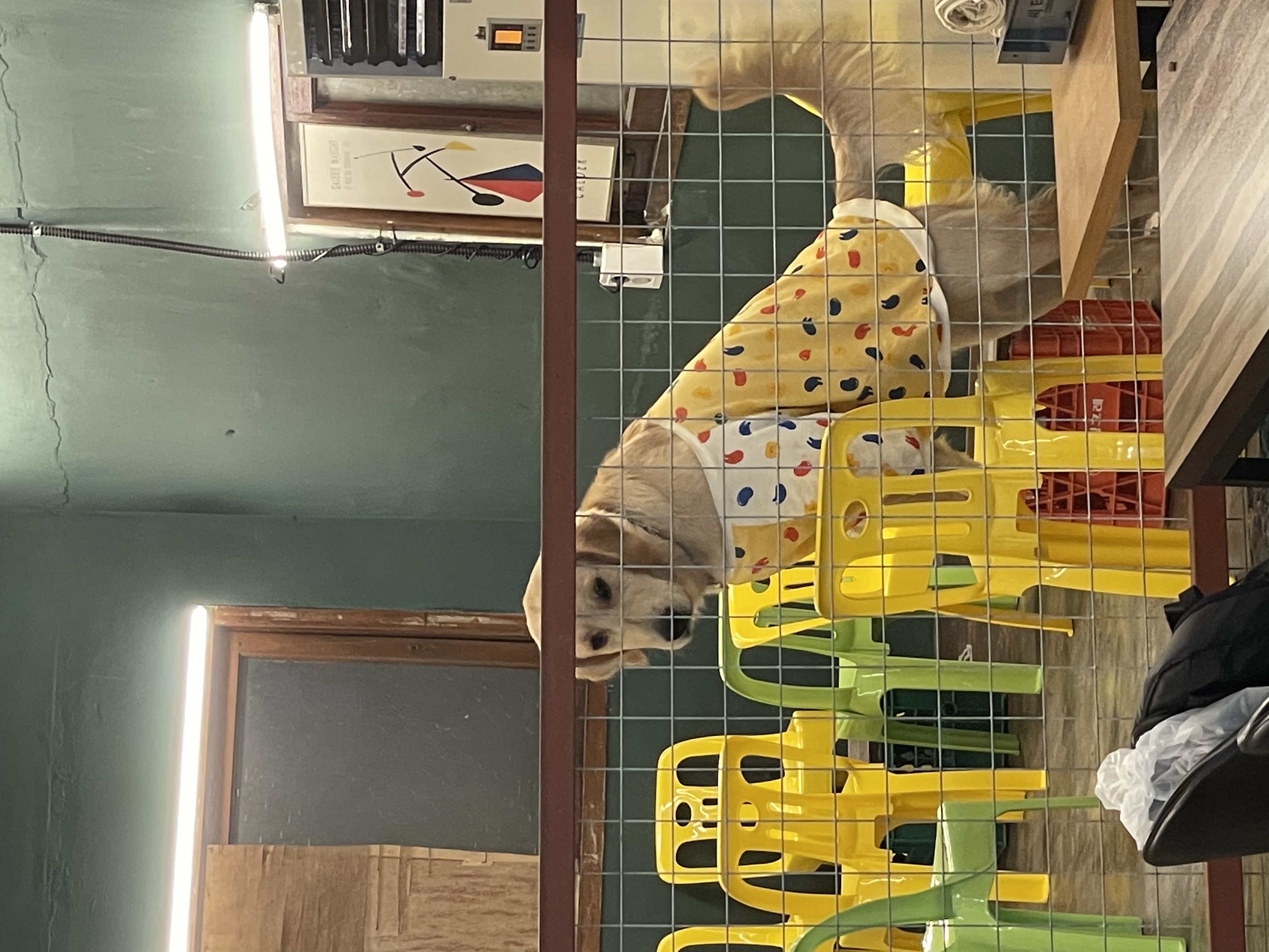 백산커피 이미지