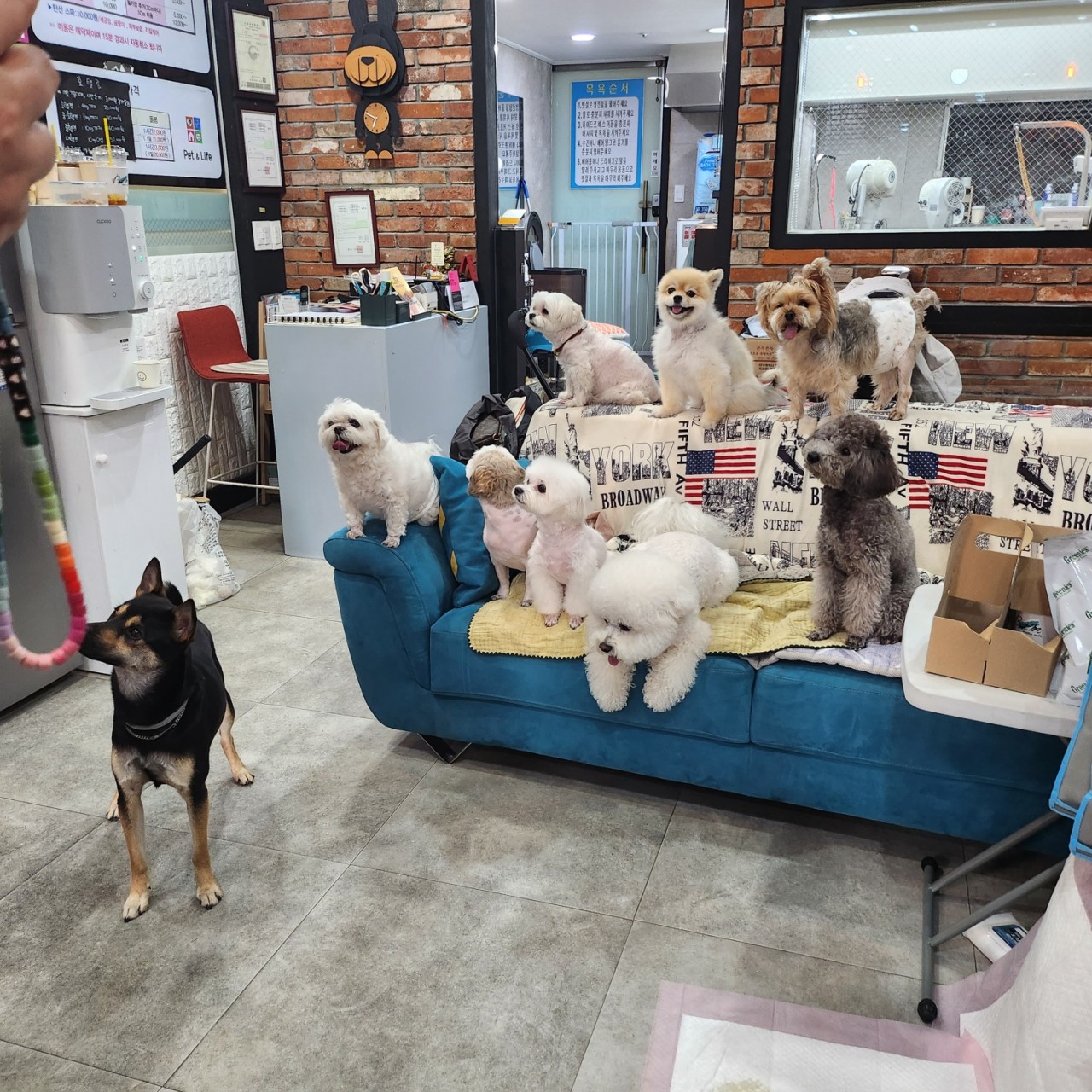 몽이네컷