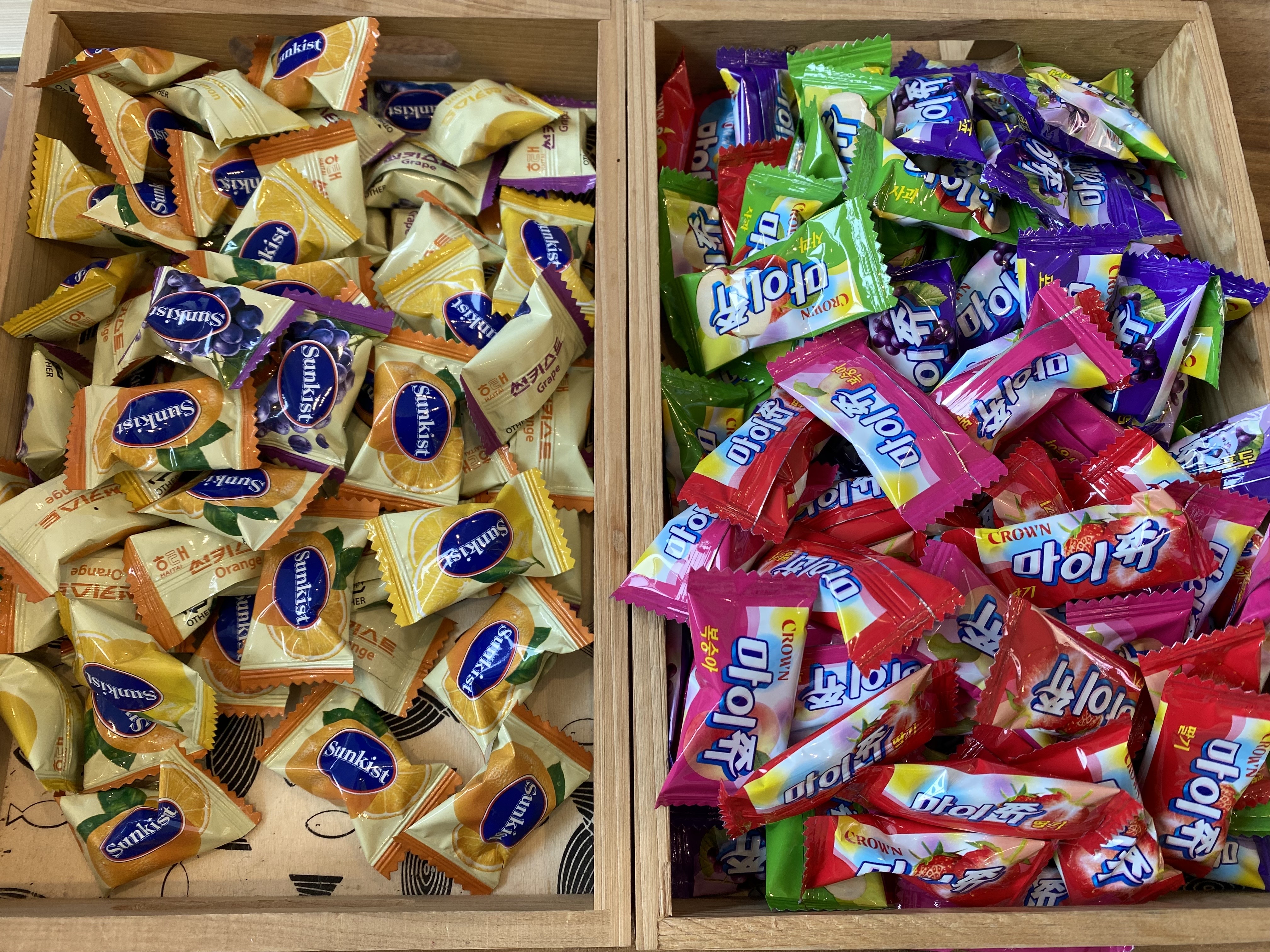 단양청춘패러 이미지