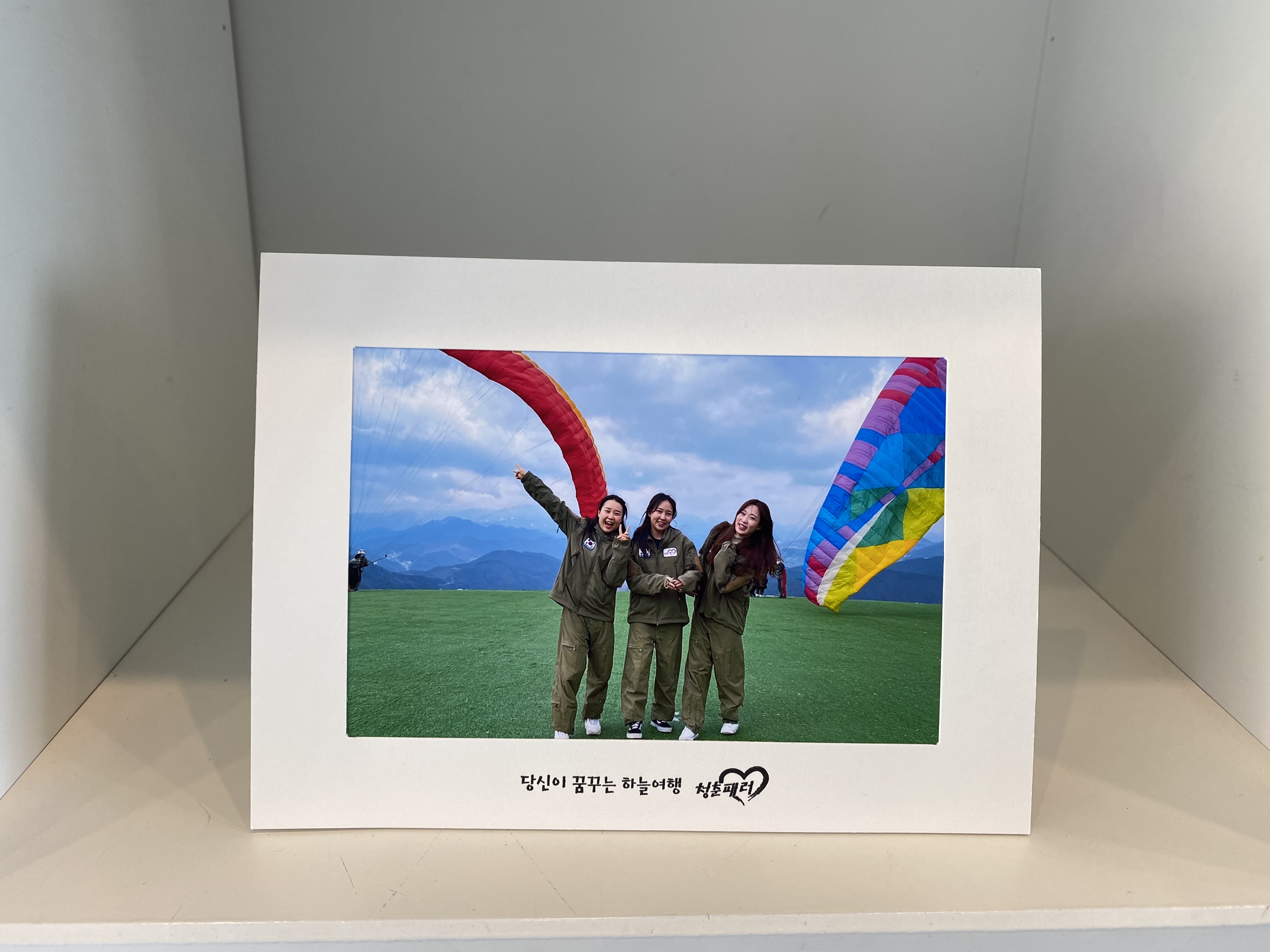 단양청춘패러 이미지