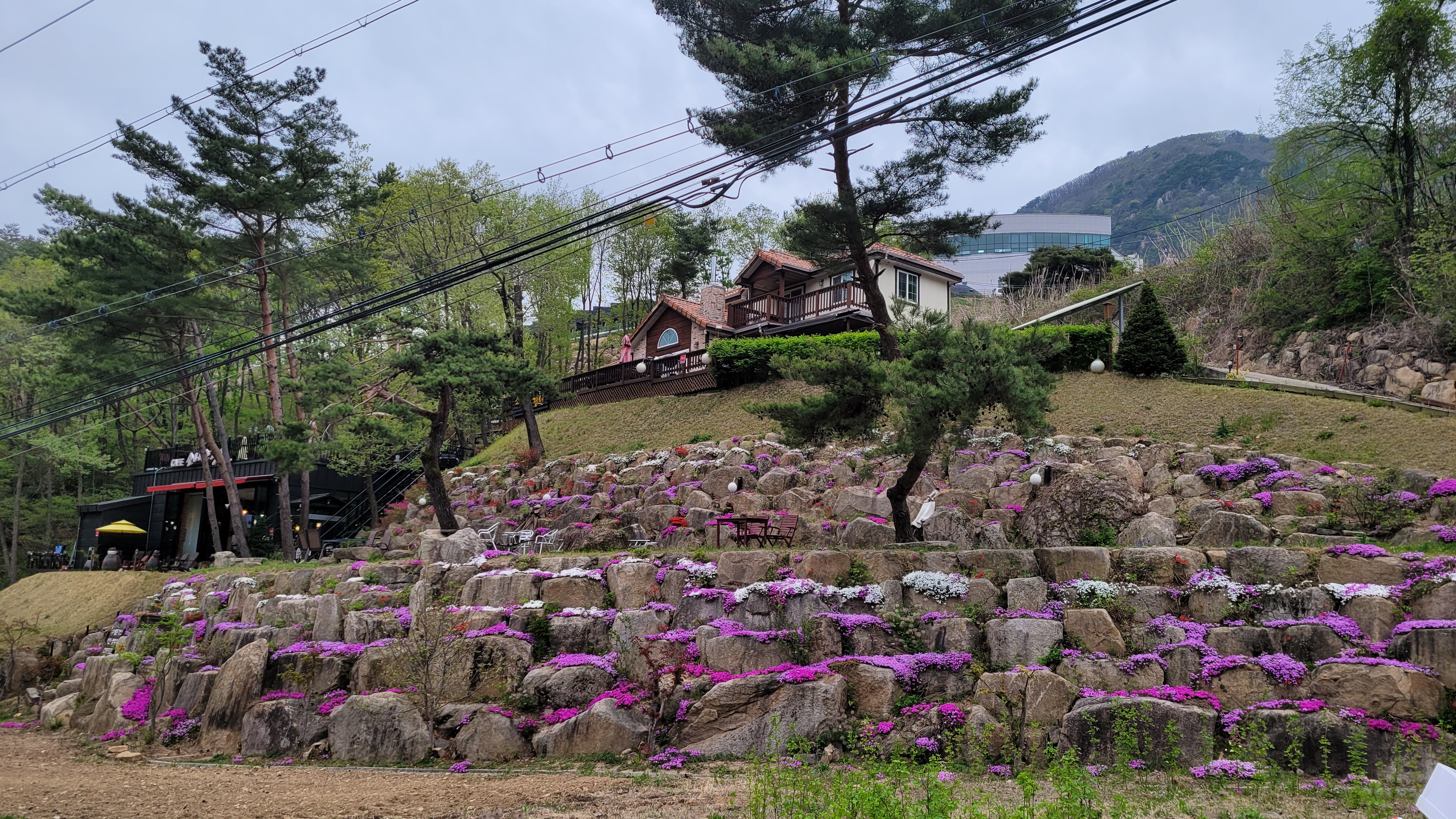 소나무정원화덕피자 이미지