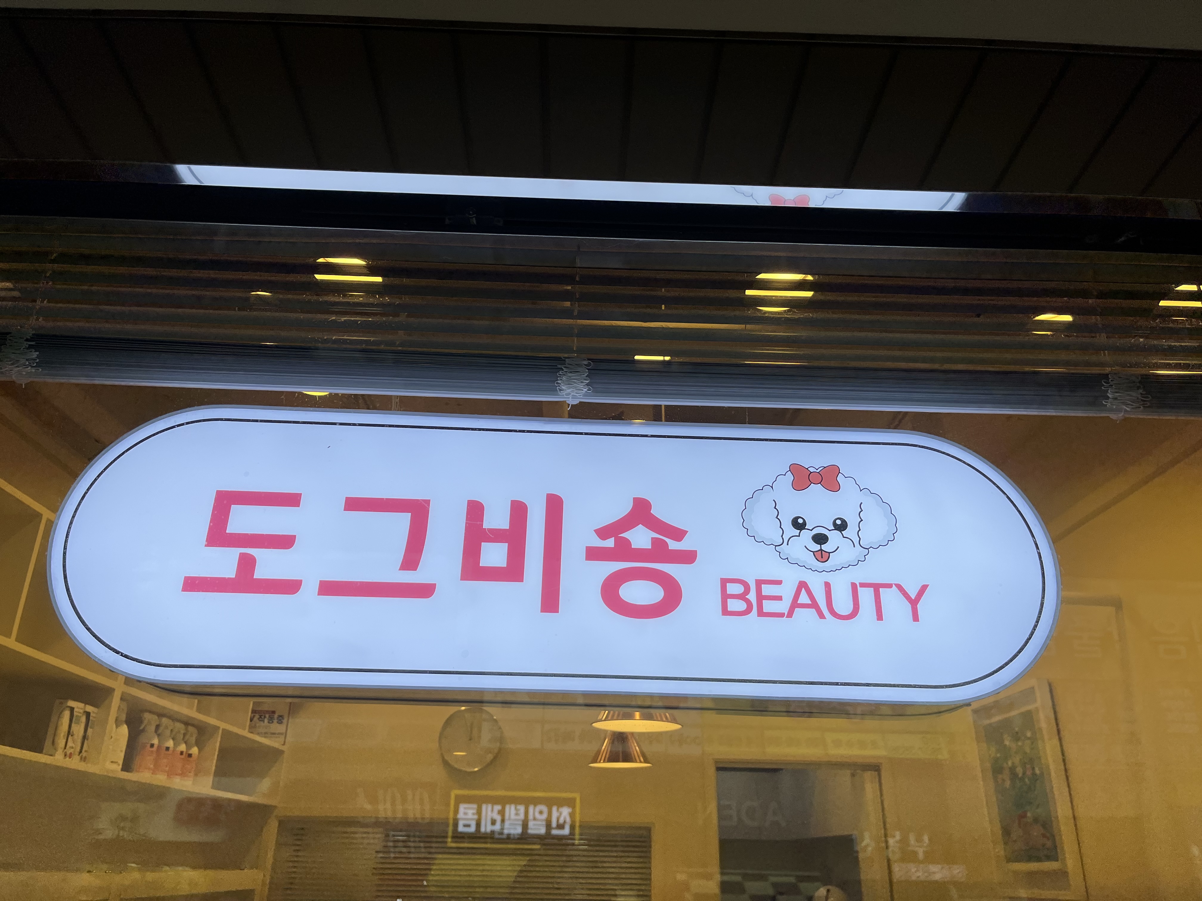 도그비숑