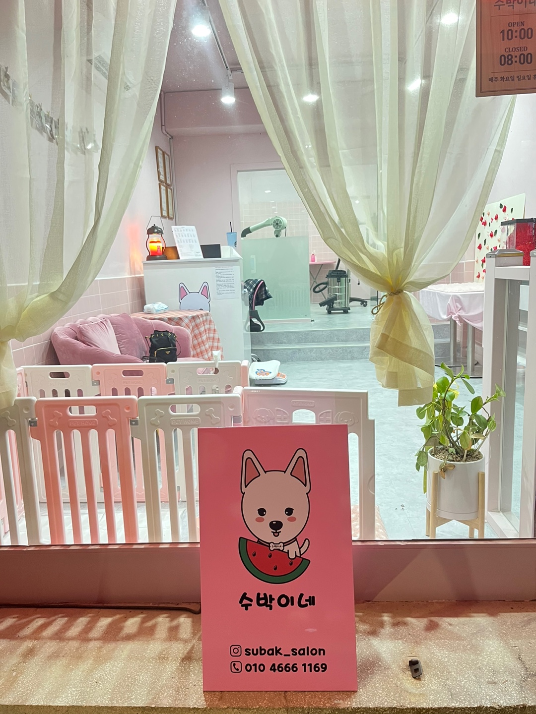 수박이네