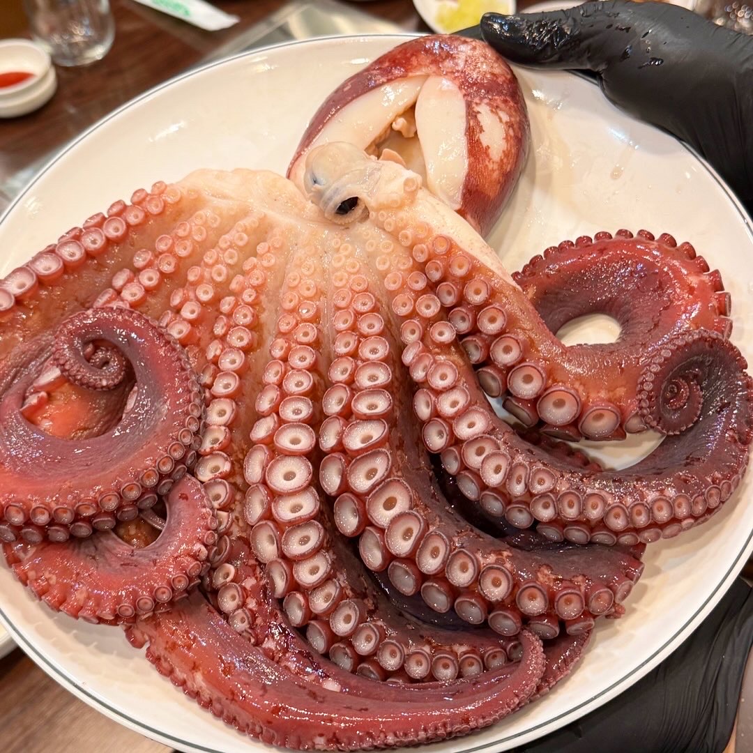 강원도 피문어