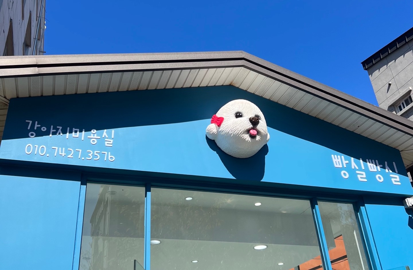 빵실빵실