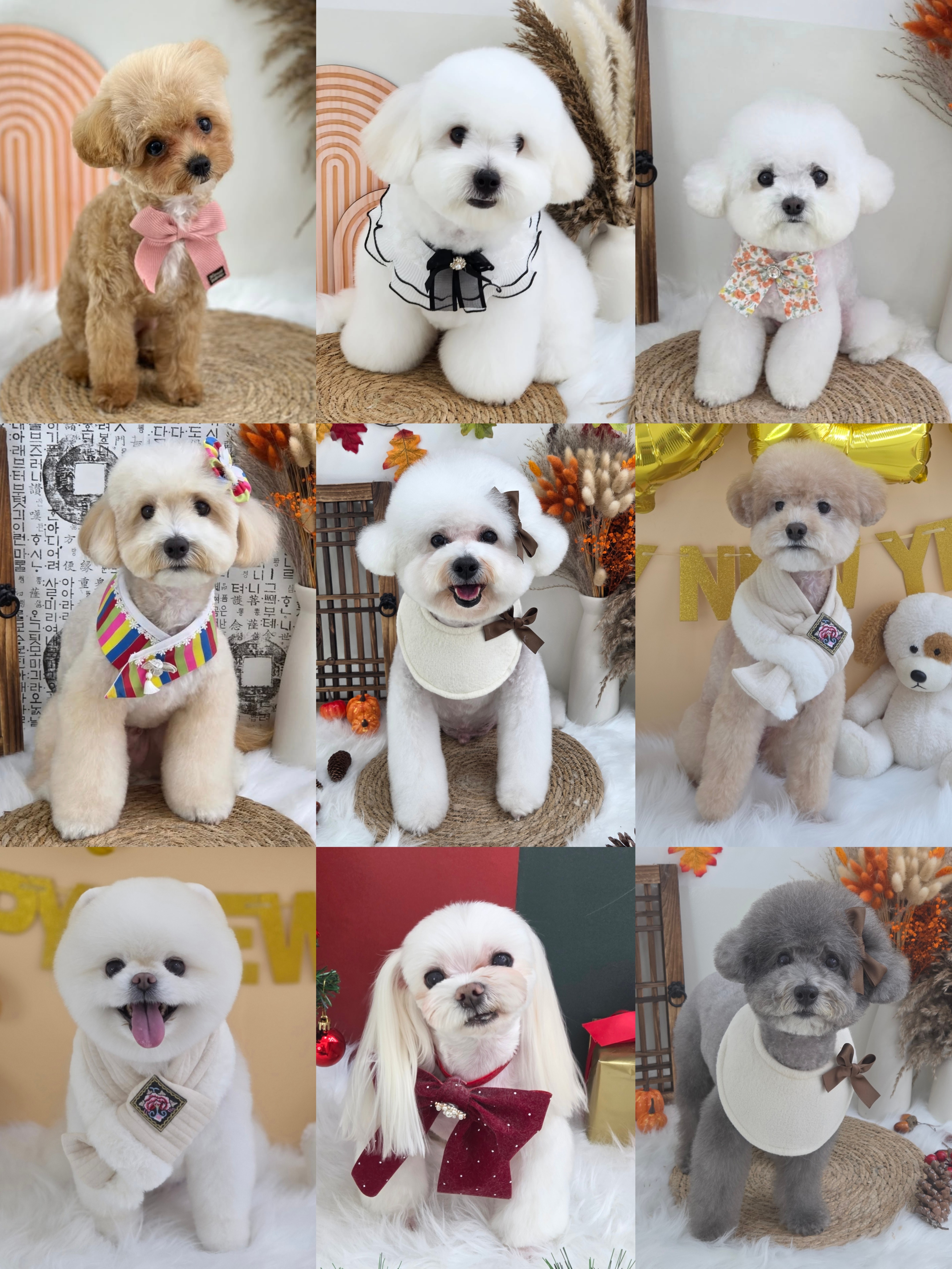 비비그룸