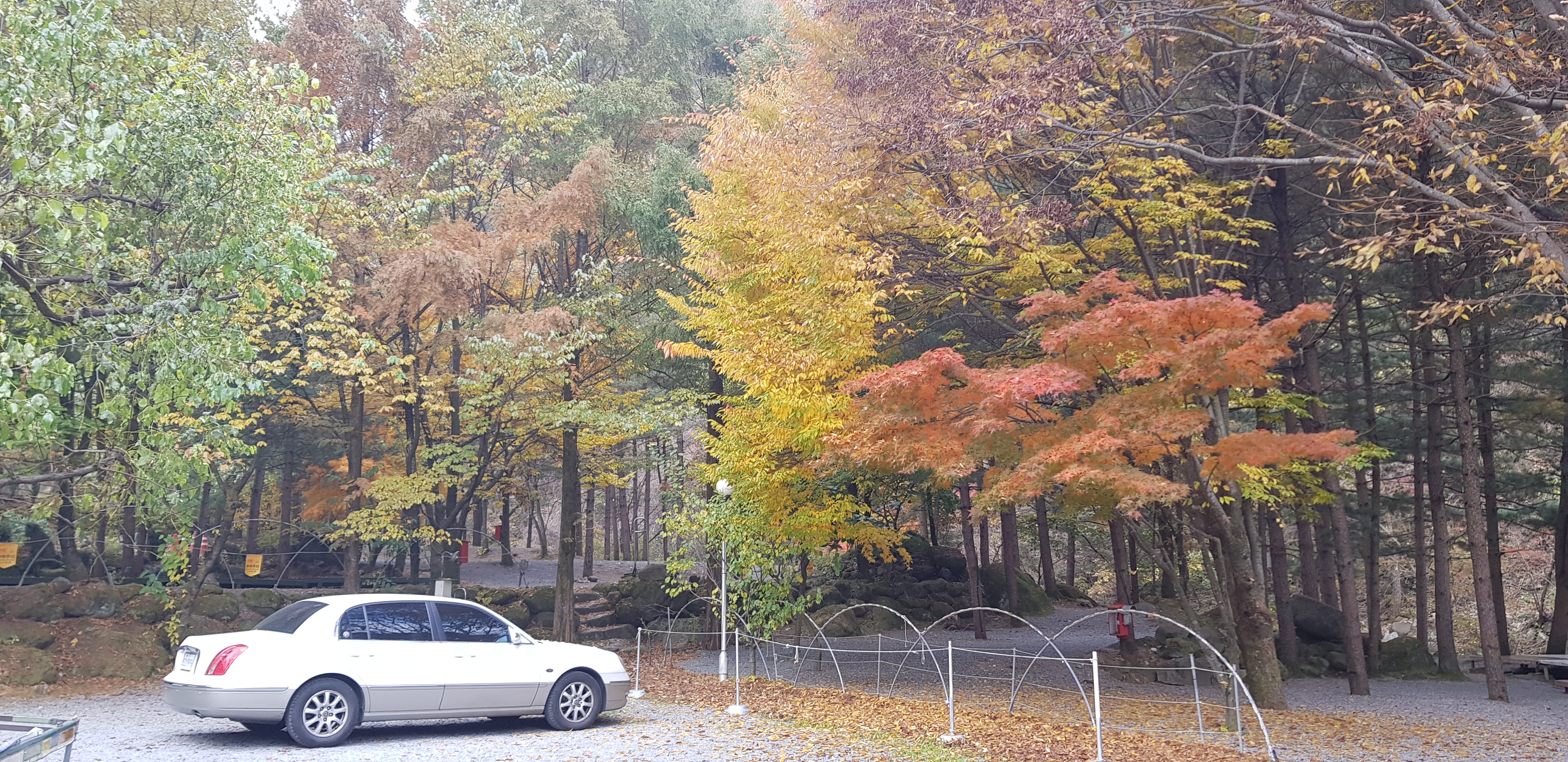 단양천동계곡캠핑장 그린농원 이미지