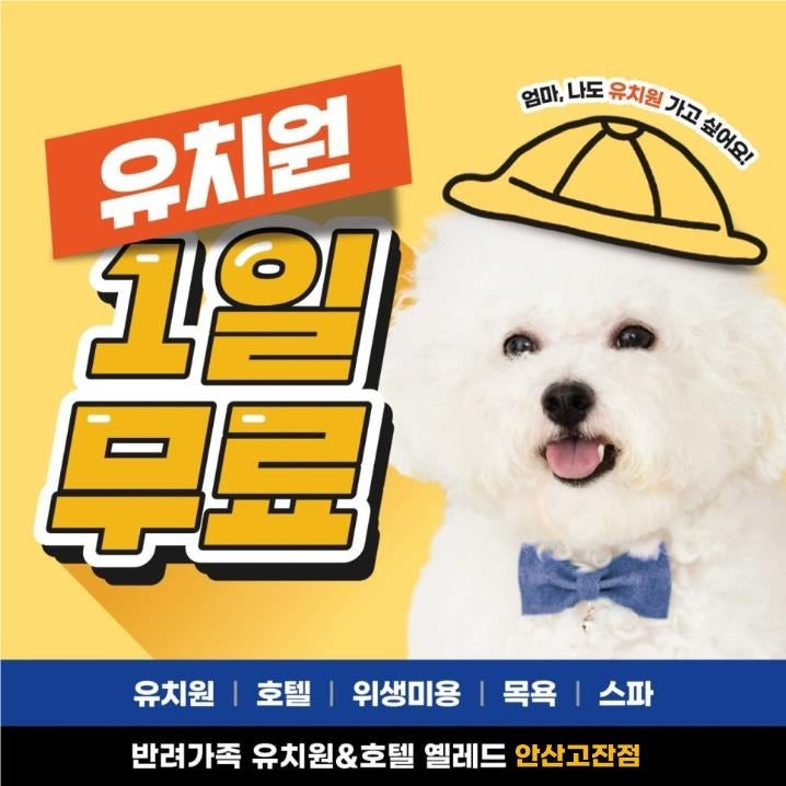옐레드 애견유치원 & 애견호텔, 미용 안산고잔점