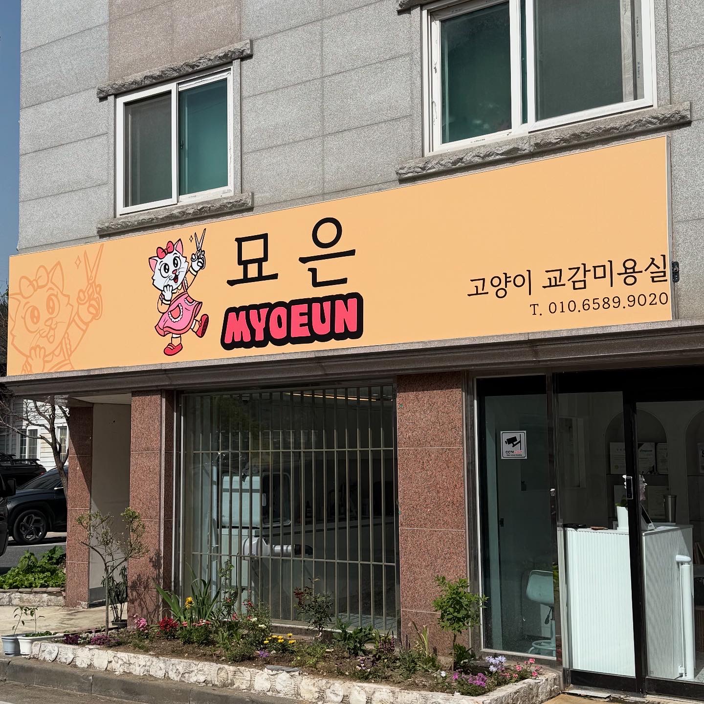 묘은