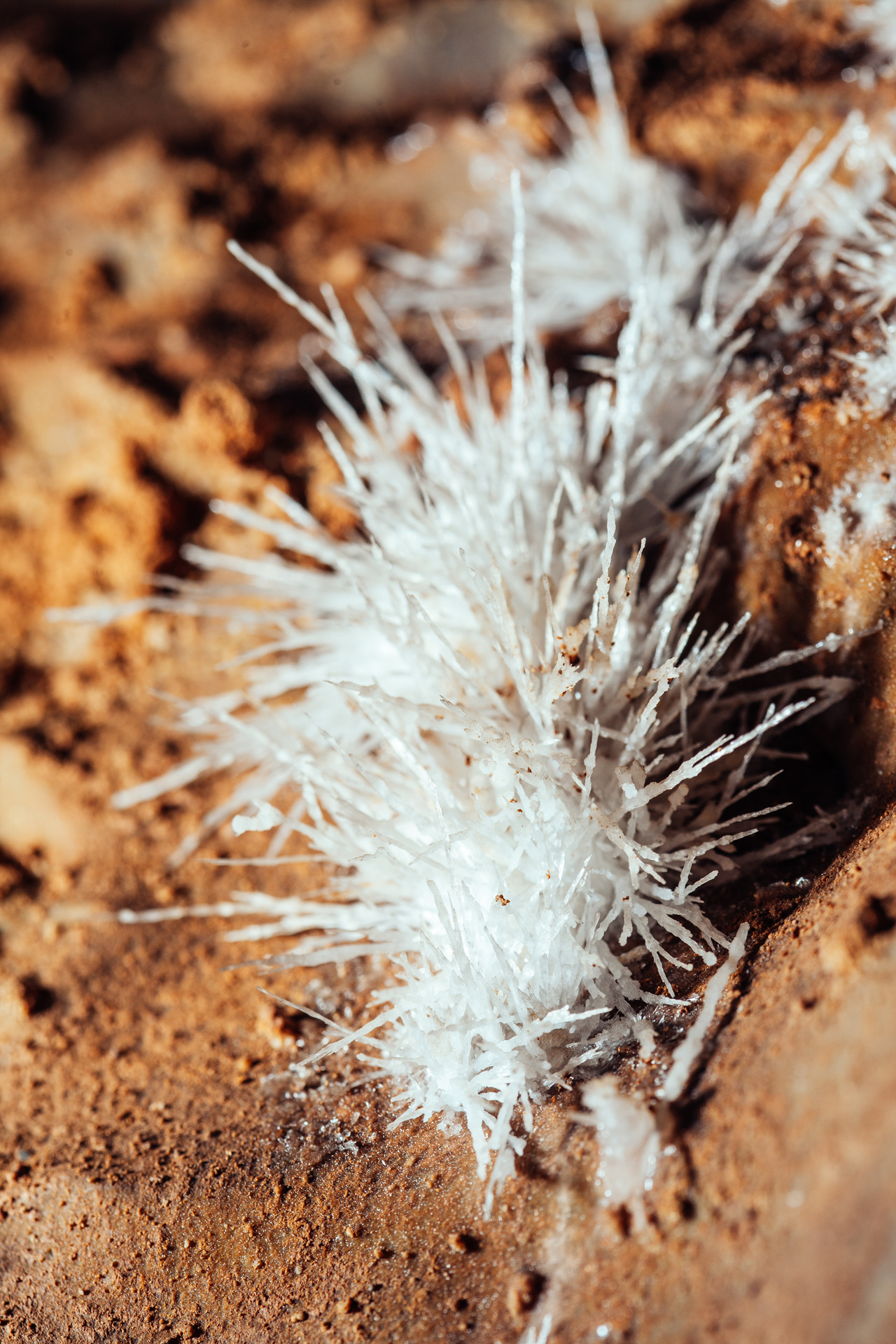 단양 고수동굴 이미지