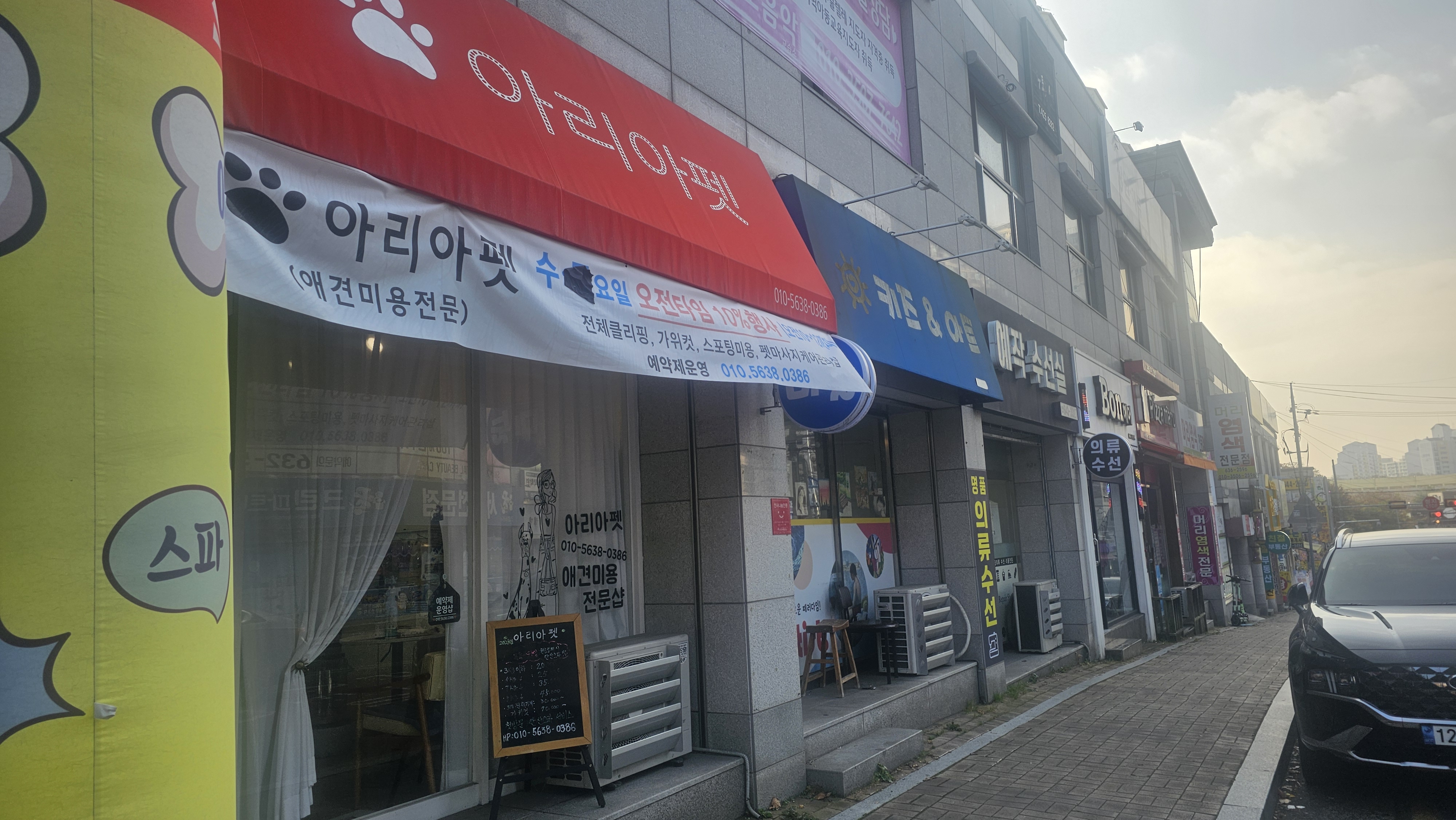 아리아펫