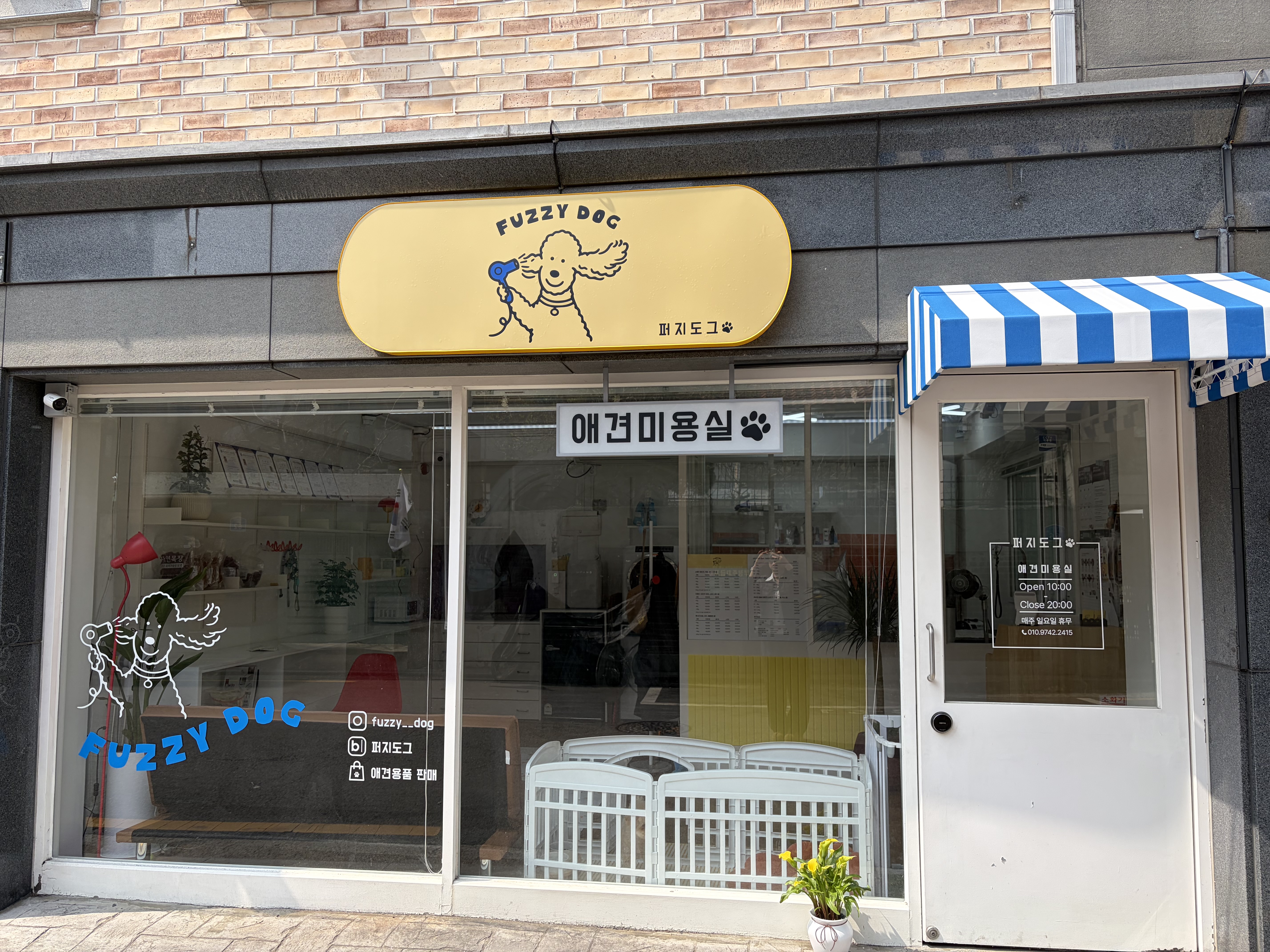 퍼지도그