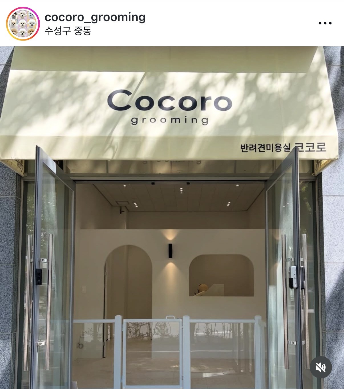 코코로 그루밍