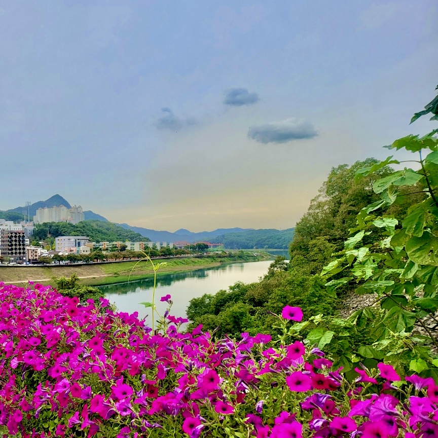 단양파빌리온하우스 이미지