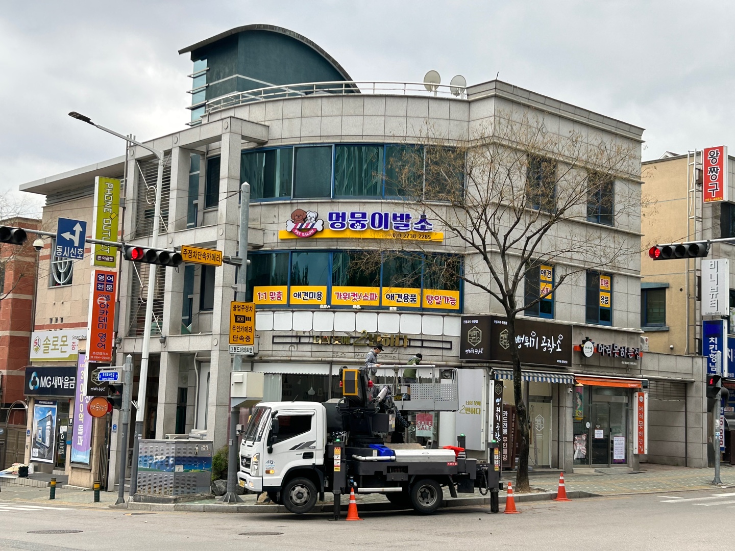 멍뭉이발소