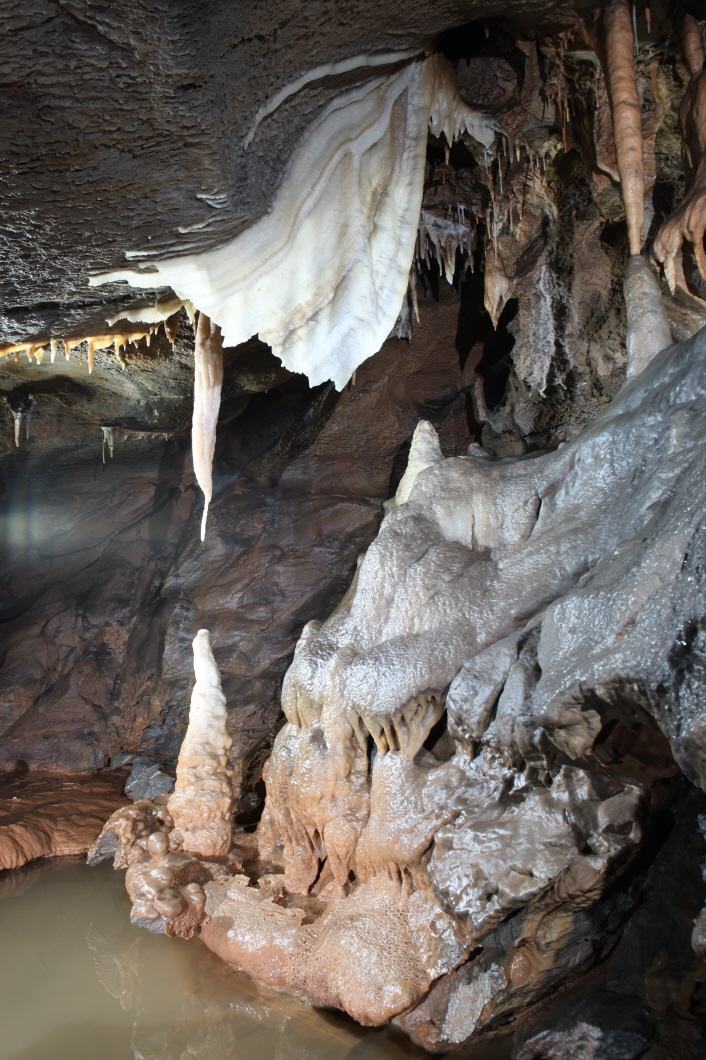 단양 고수동굴 이미지