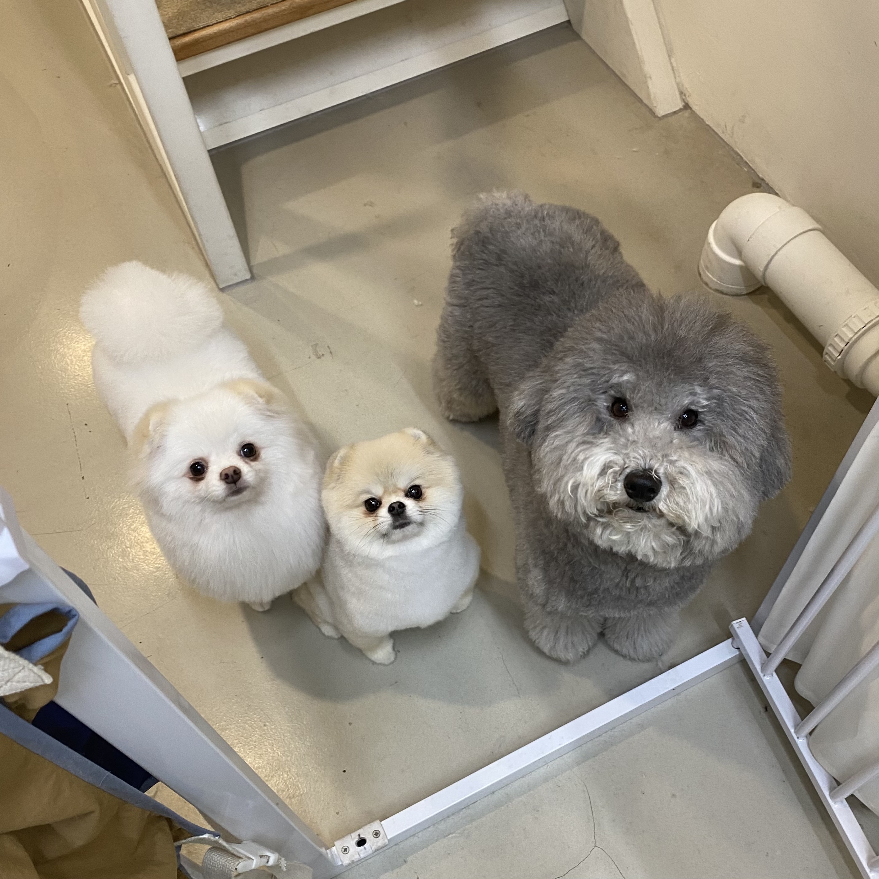 두루밍