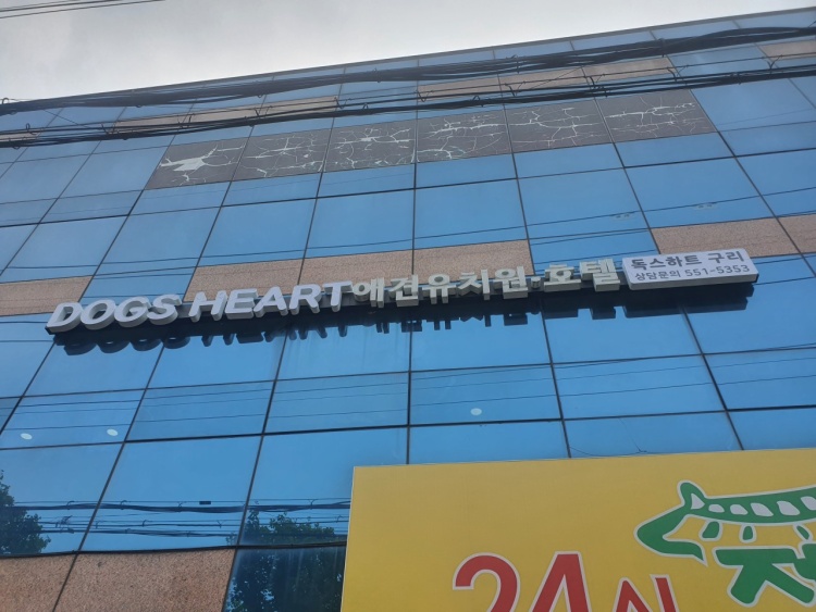 독스하트 구리