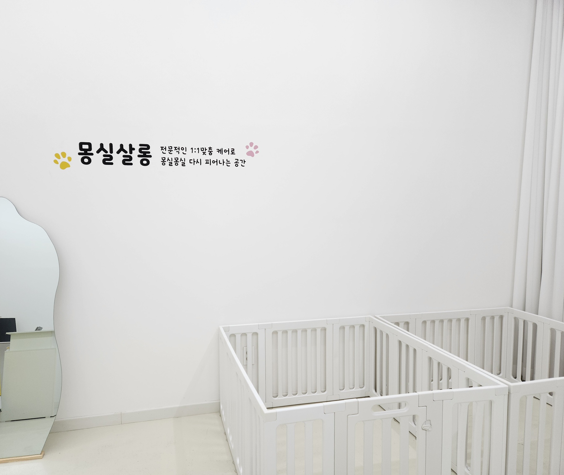 몽실살롱