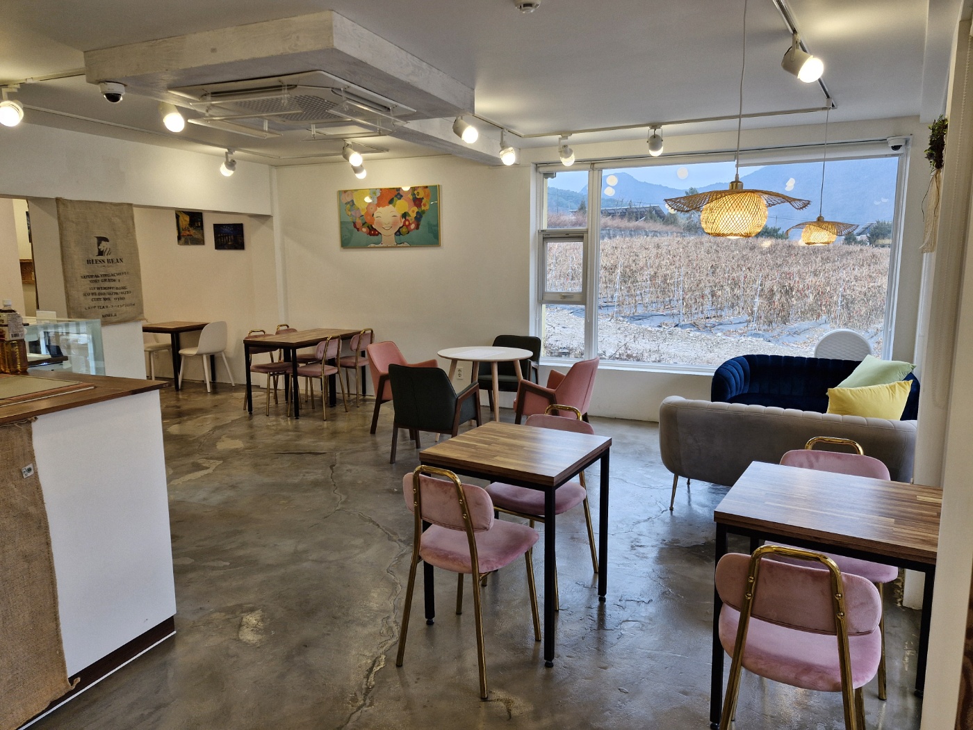 리버빈스 이미지