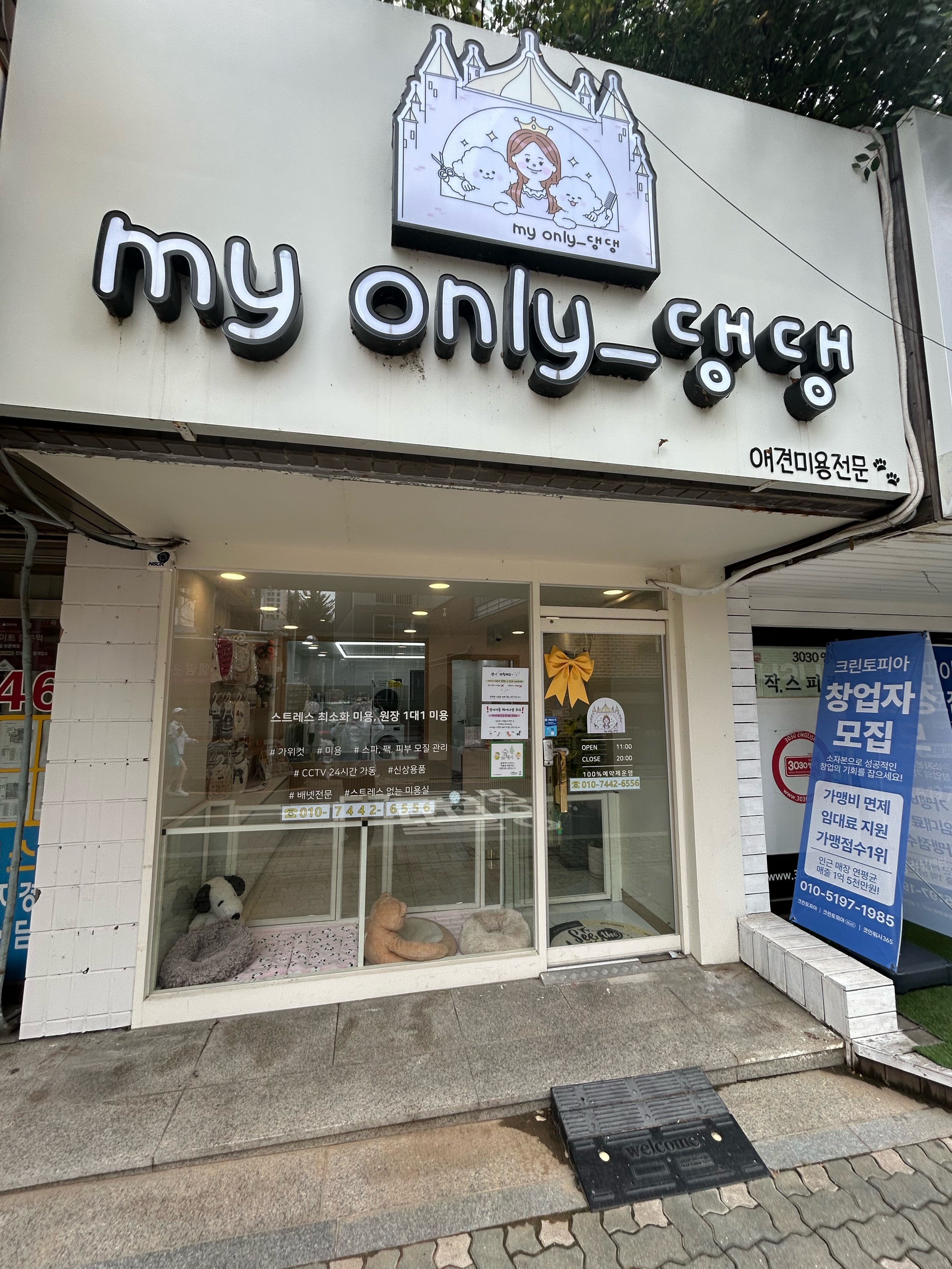 마이온리댕댕