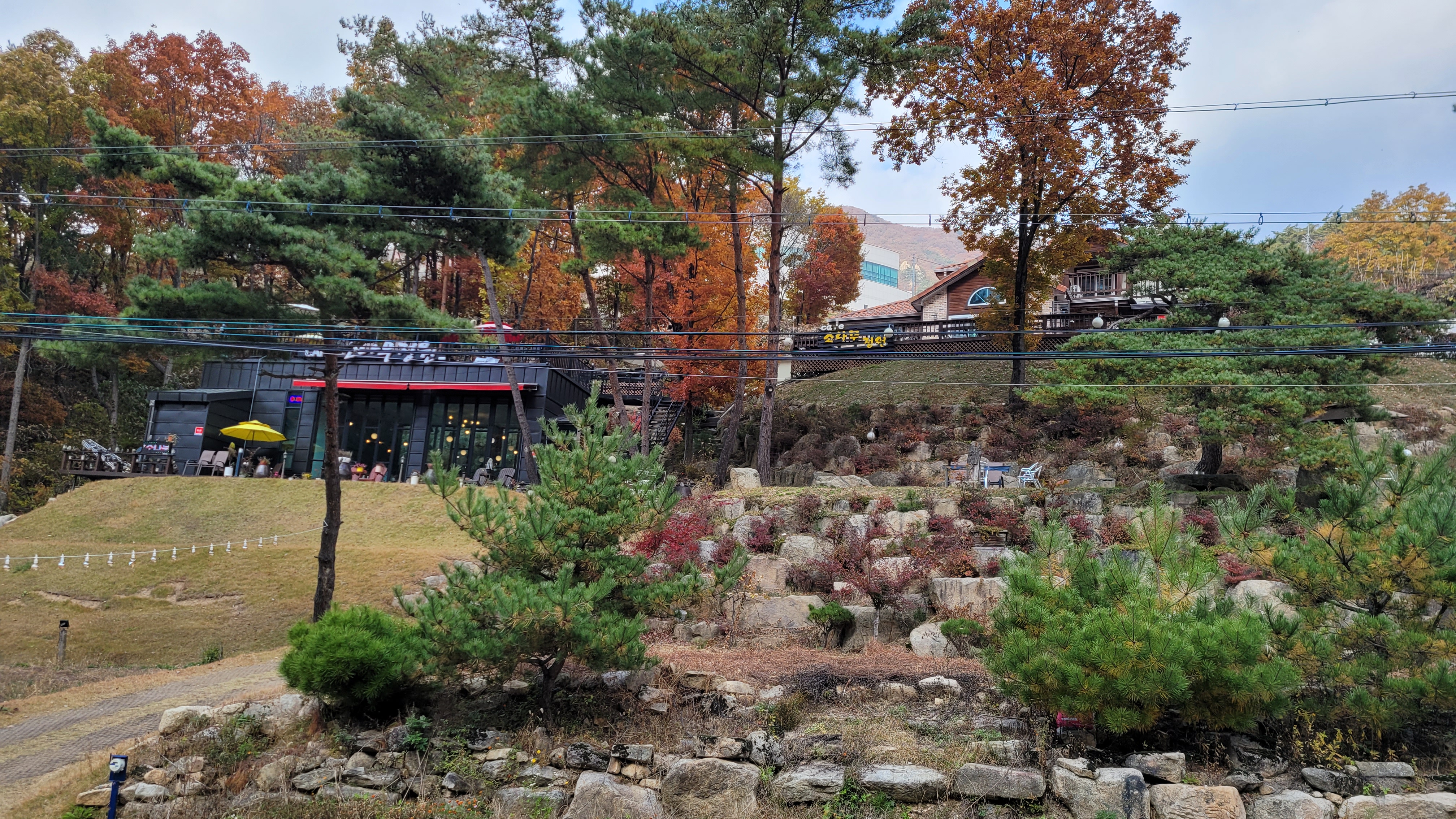 소나무정원화덕피자 이미지