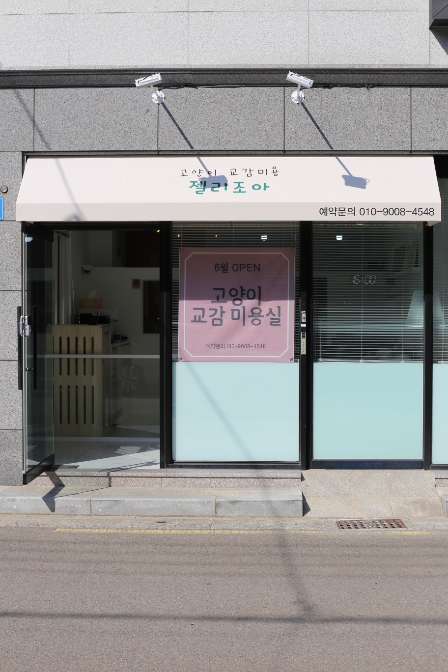 젤리조아