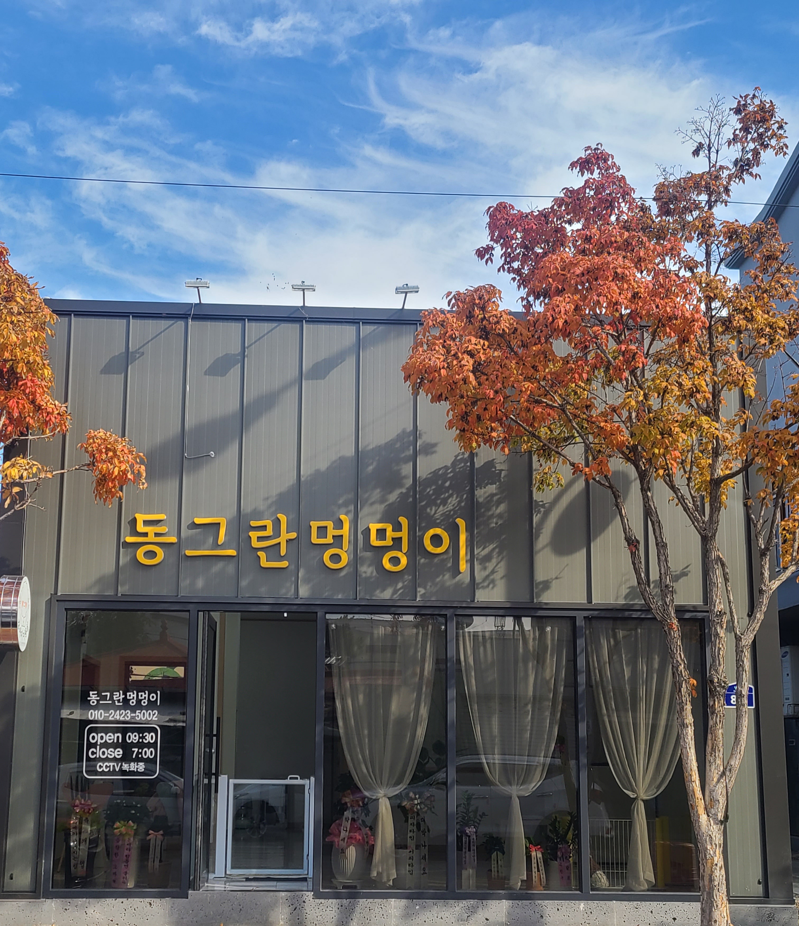 동그란 멍멍이