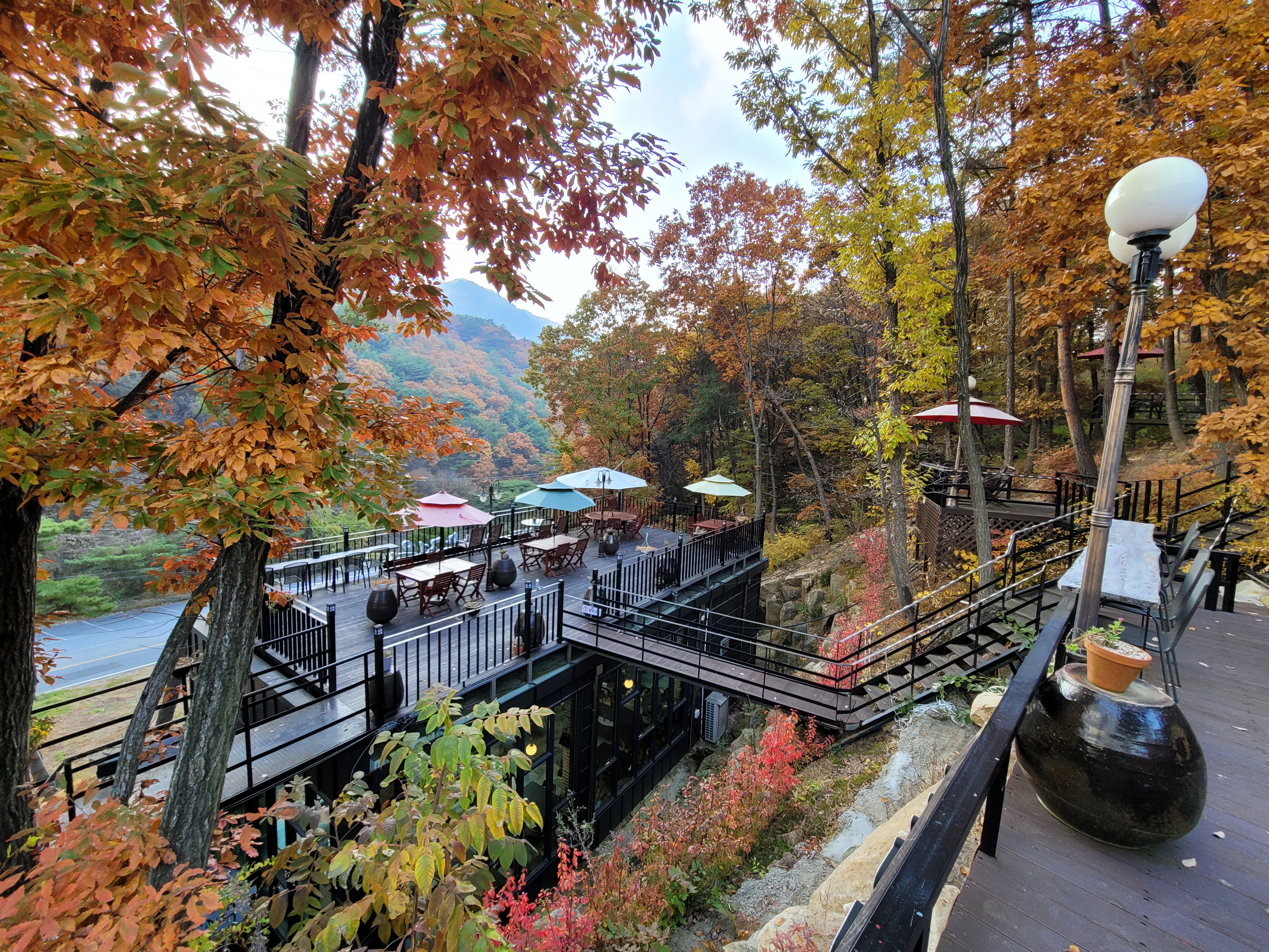 소나무정원화덕피자 이미지