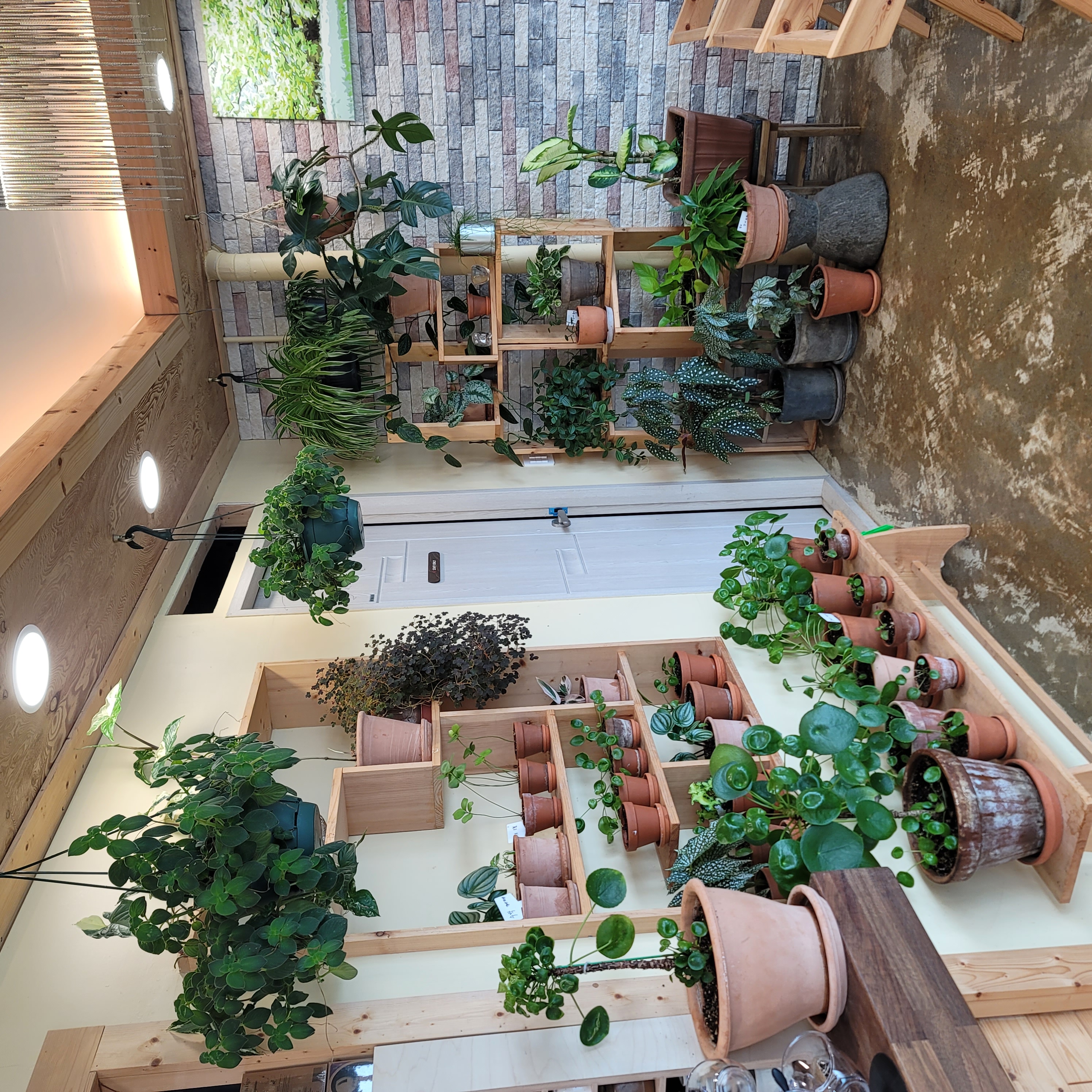 구름위의 산책 이미지