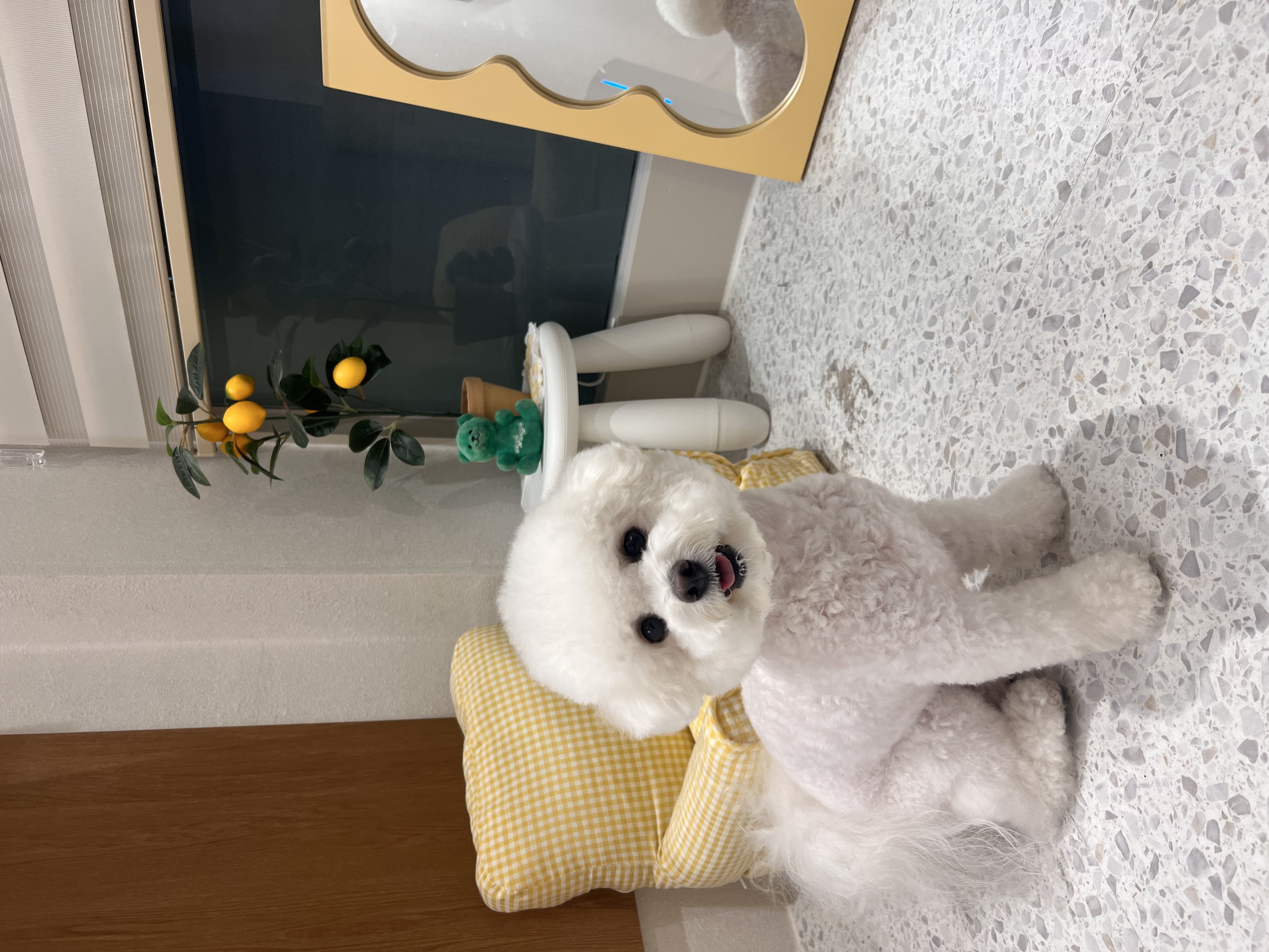 동행