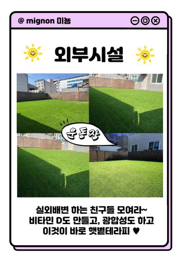 미뇽