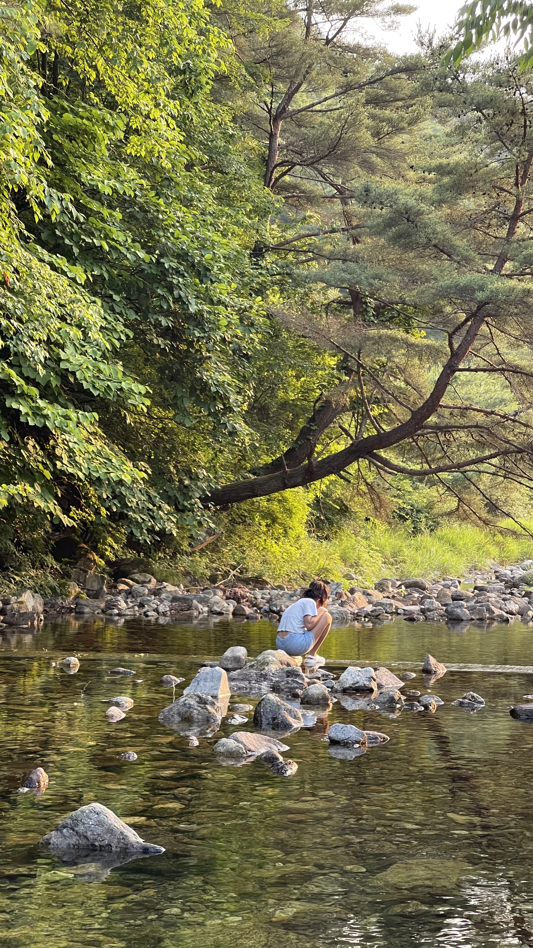 더 트리 홈 이미지