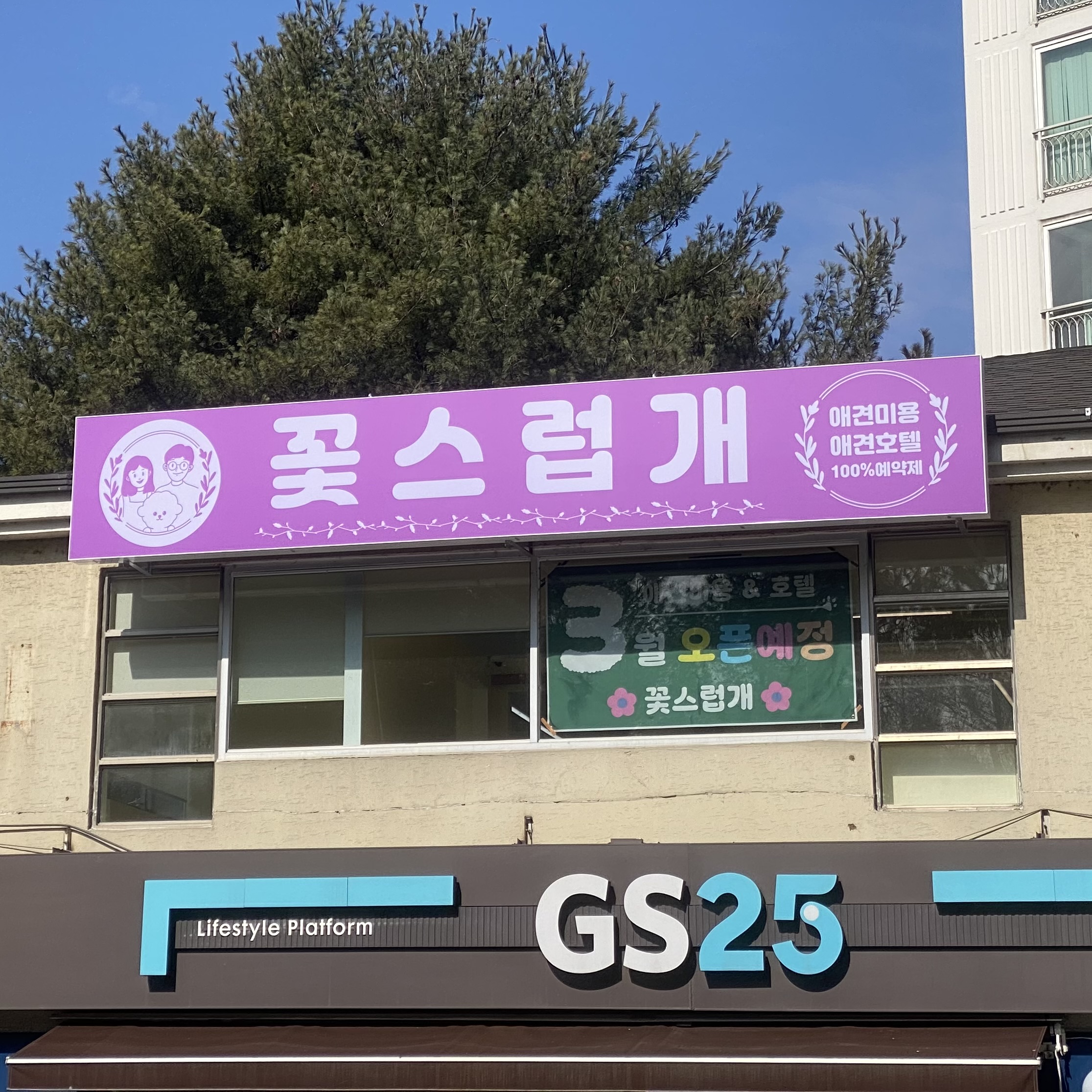 꽃스럽개