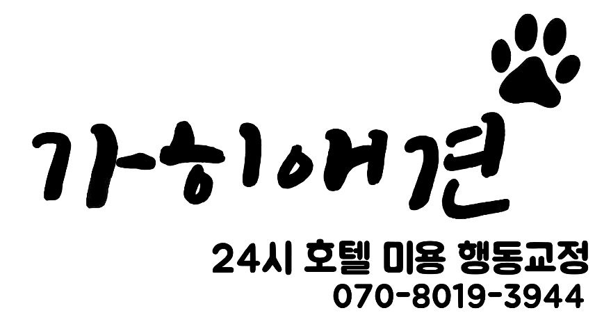 가히애견