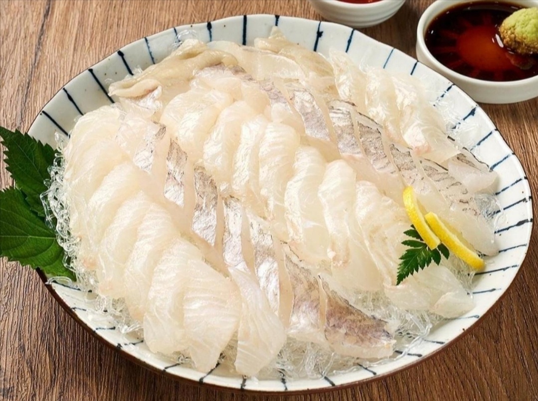 완도산광어+우럭 두툼한회