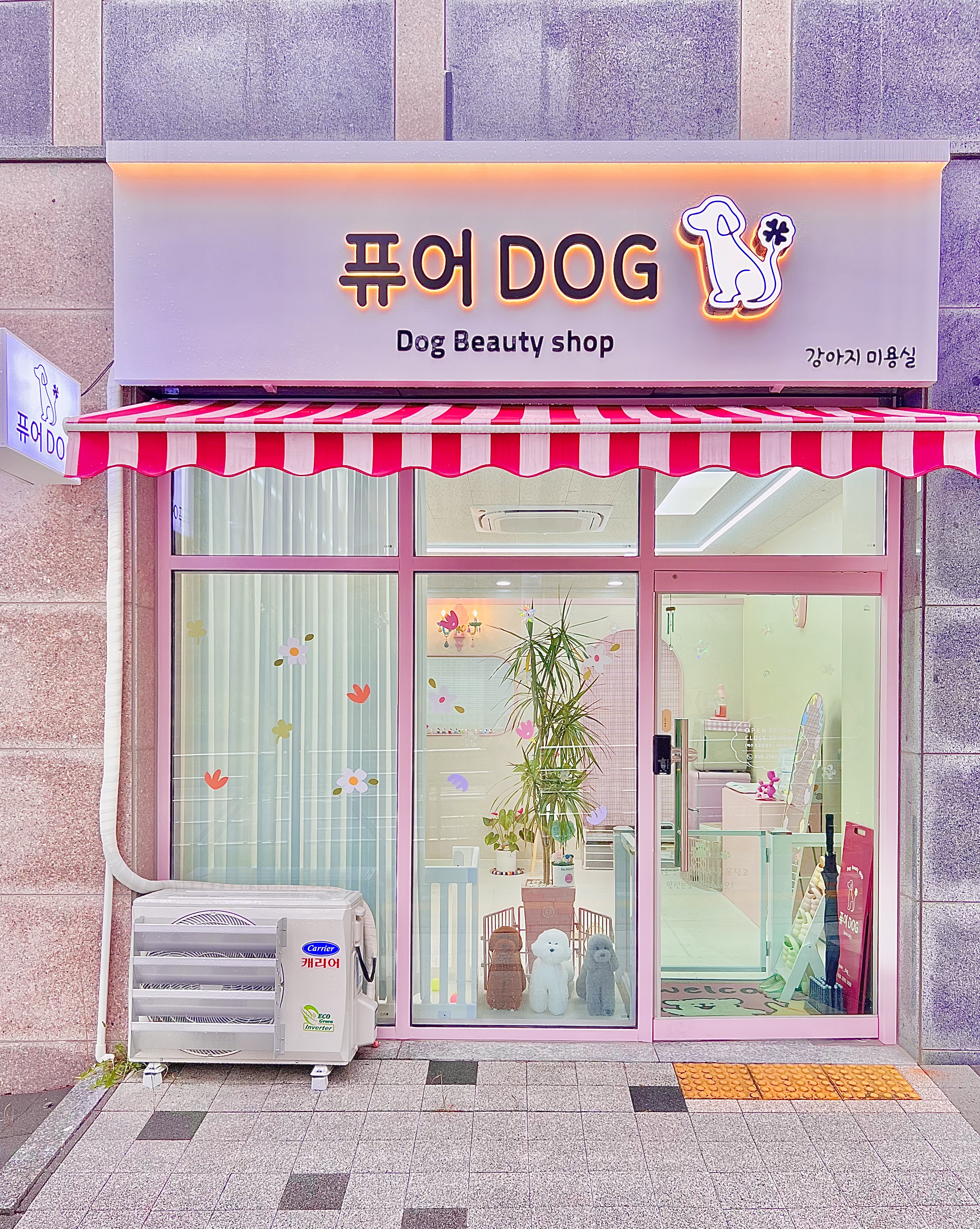 퓨어DOG