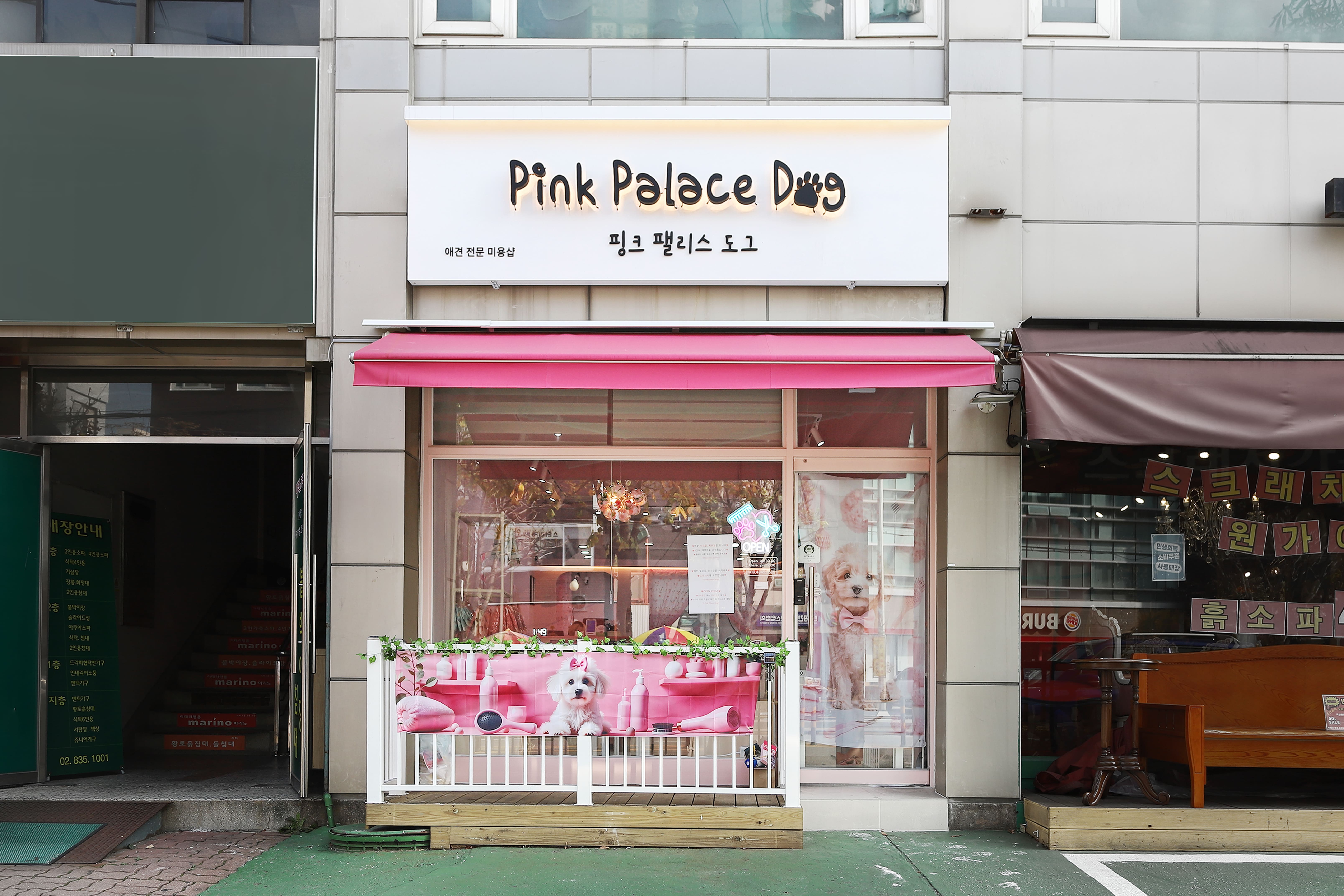 핑크팰리스도그