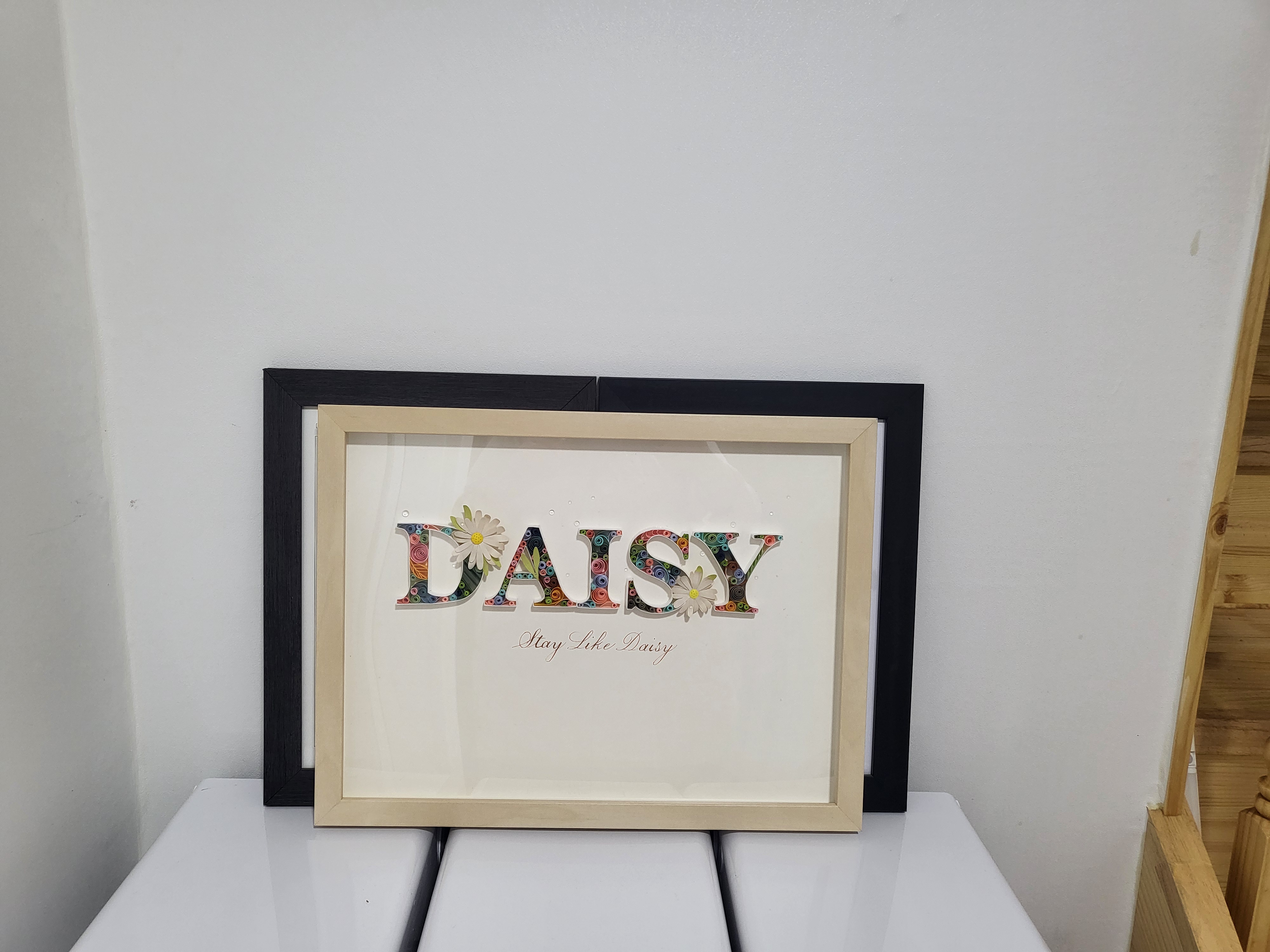 데이지닮다 이미지