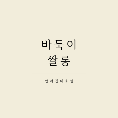 바둑이 쌀롱
