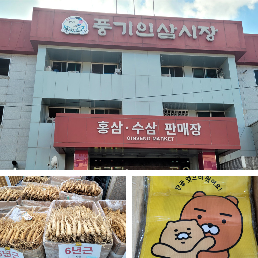 풍기인삼시장 이미지