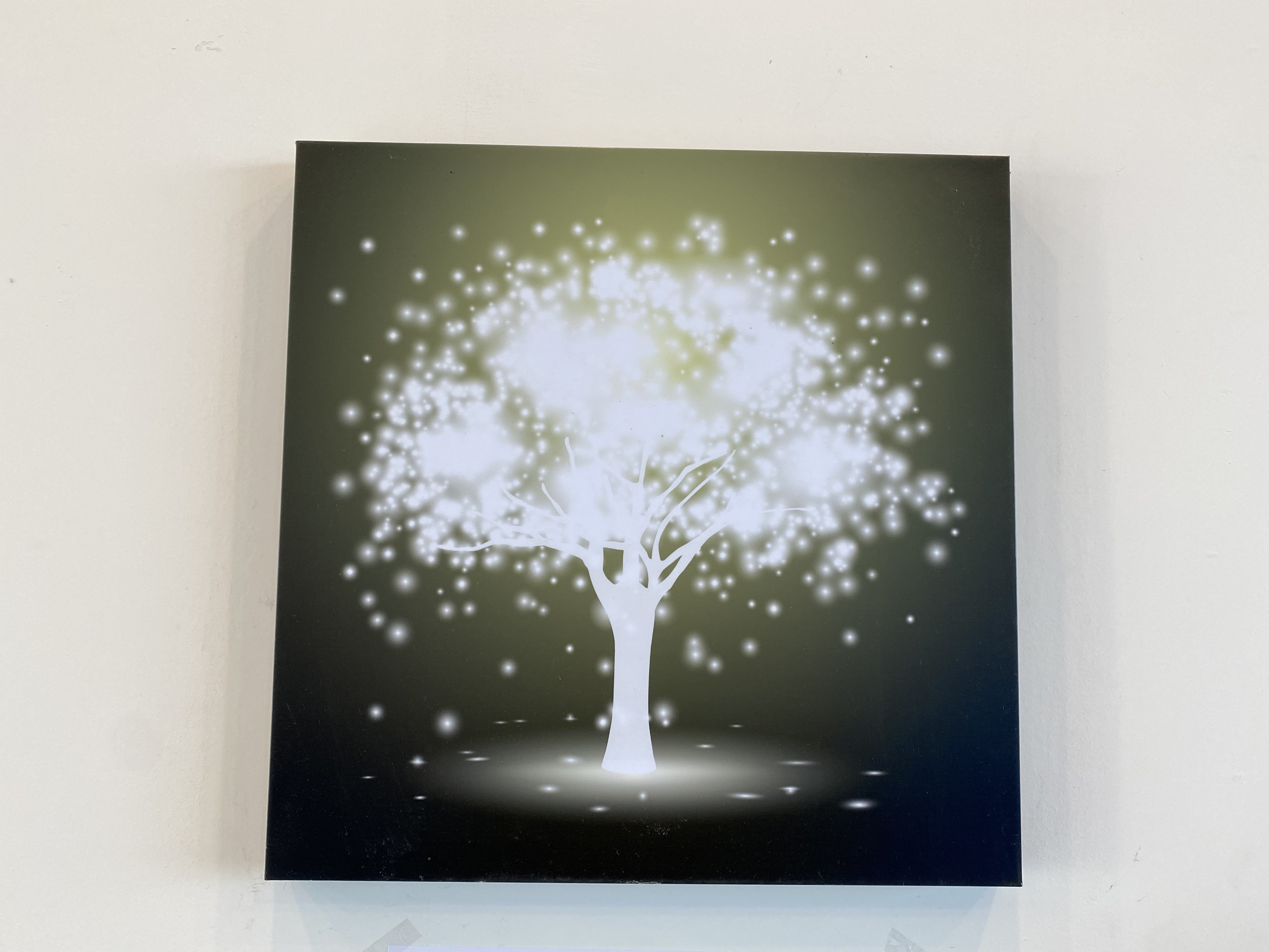 단양청춘패러 이미지