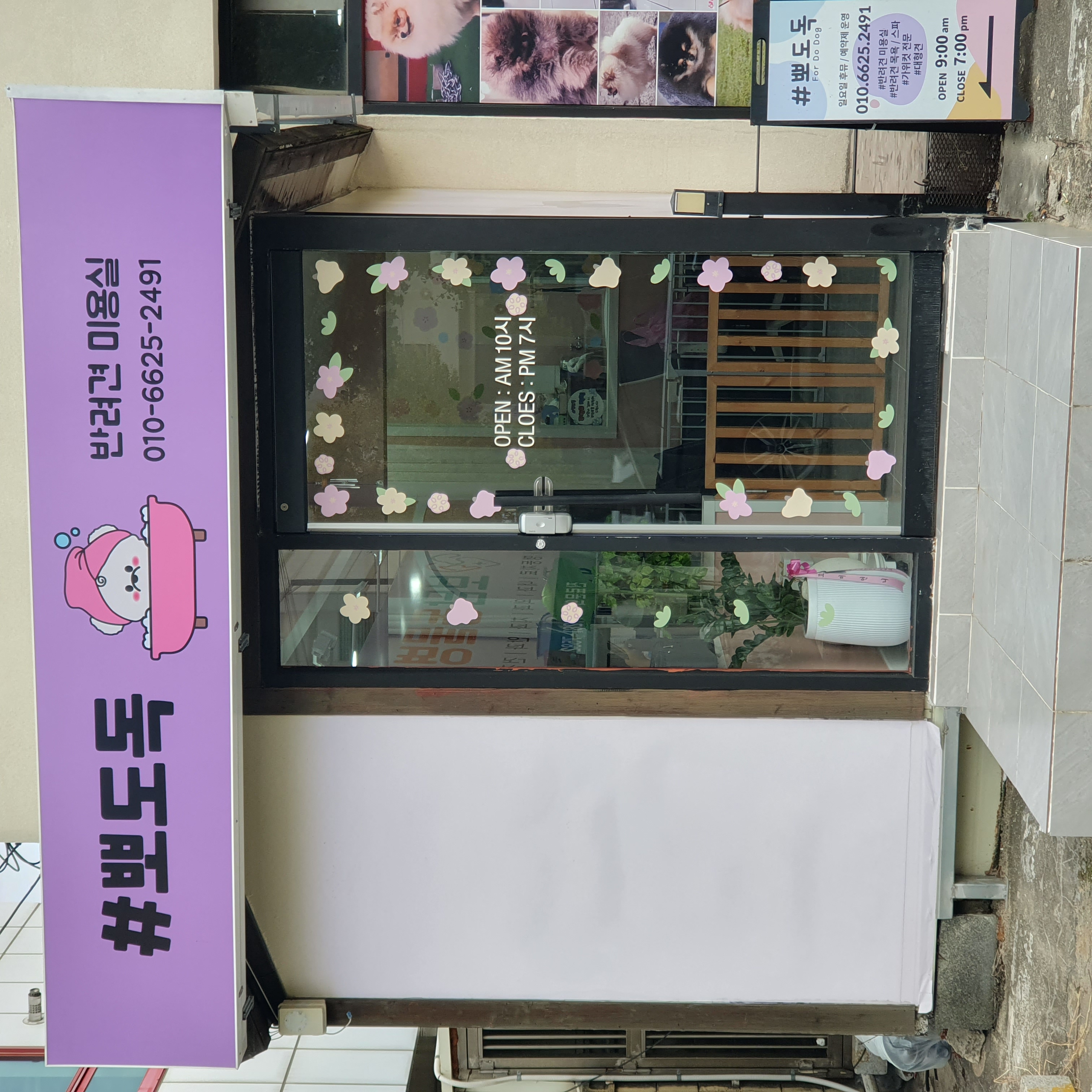 샵뽀도독