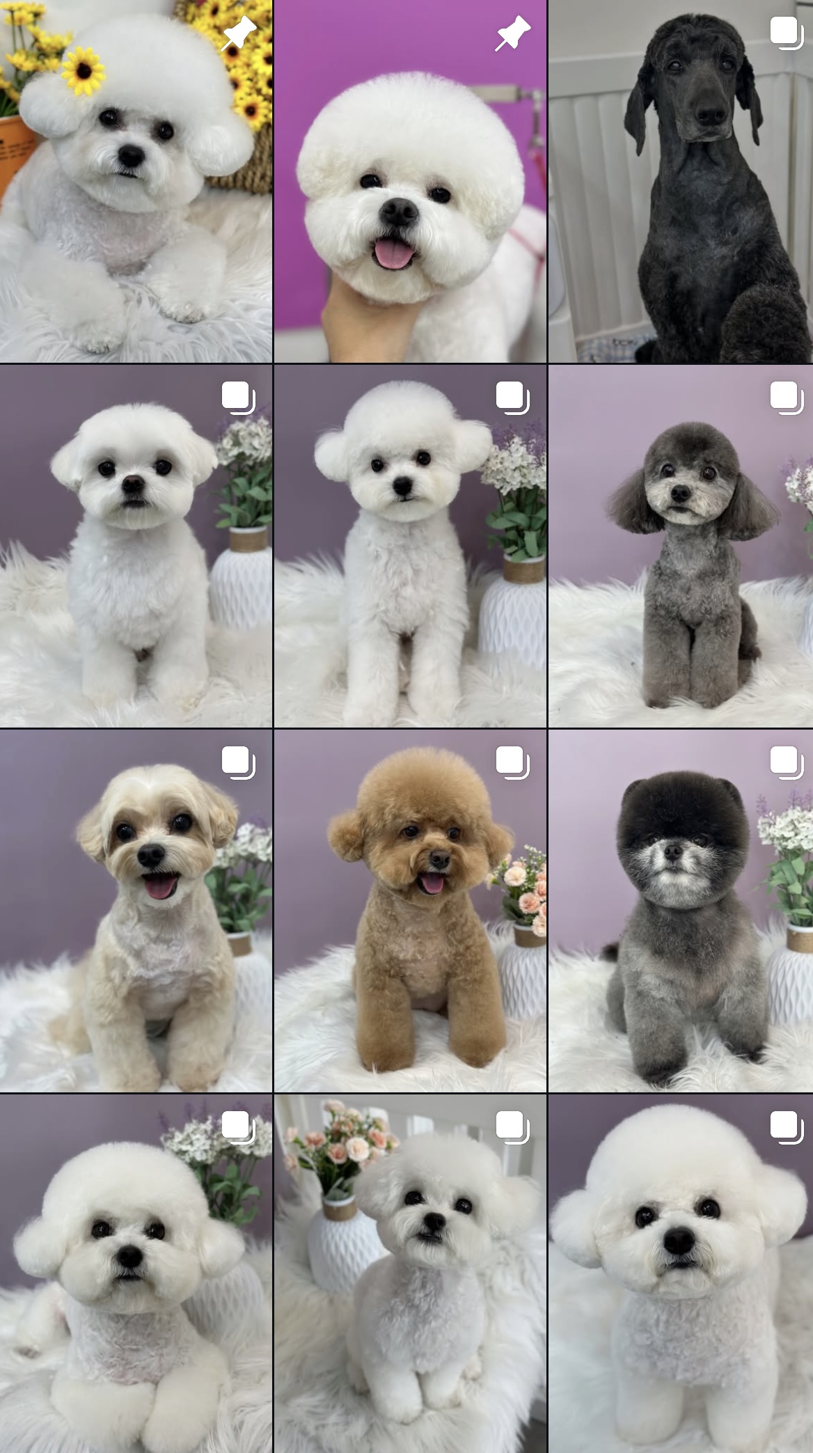 산책가개