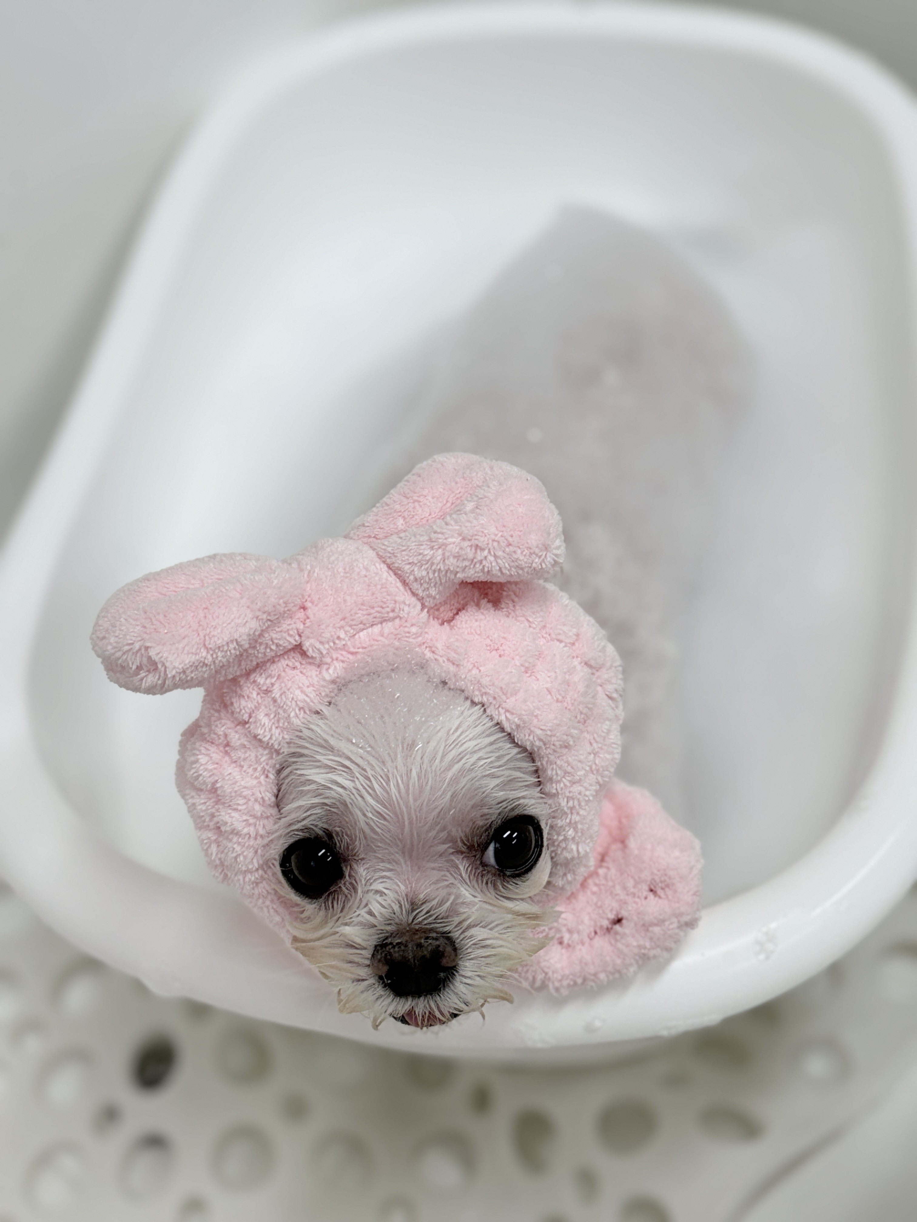 발렌티몽