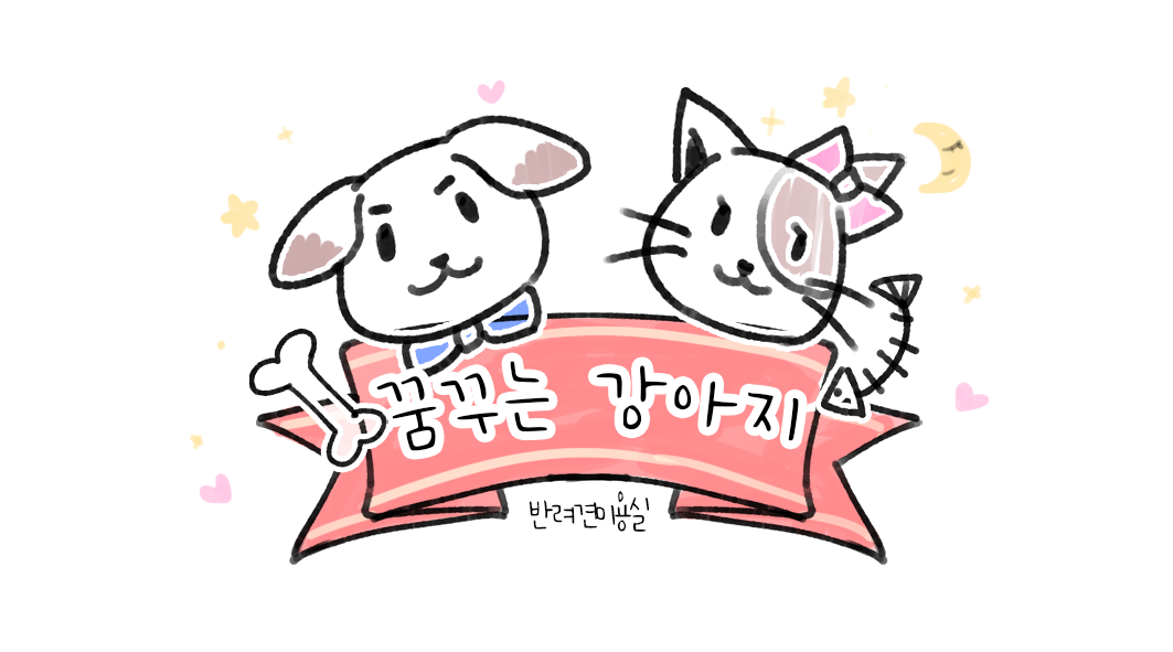 꿈꾸는 강아지