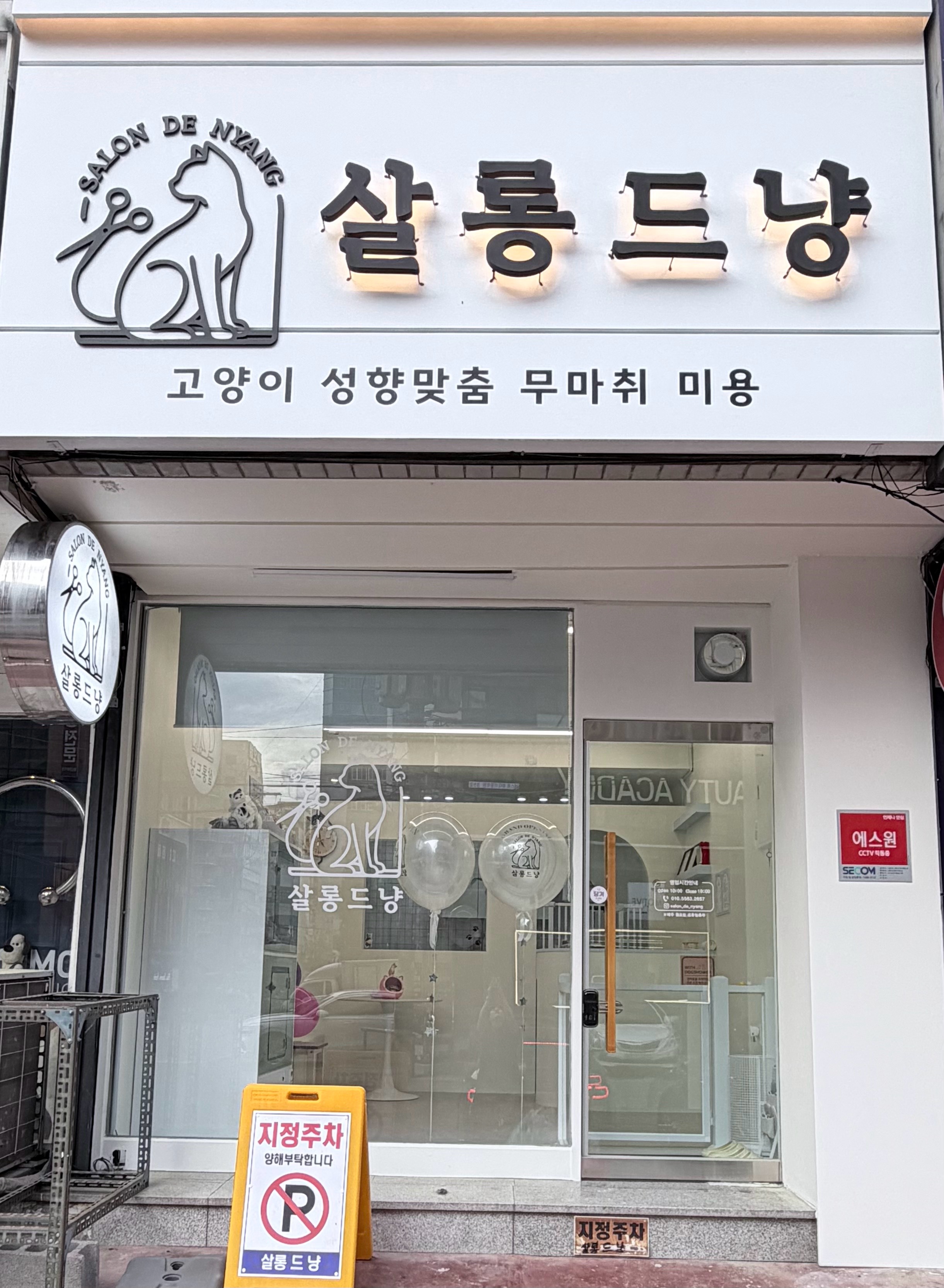 살롱 드 냥