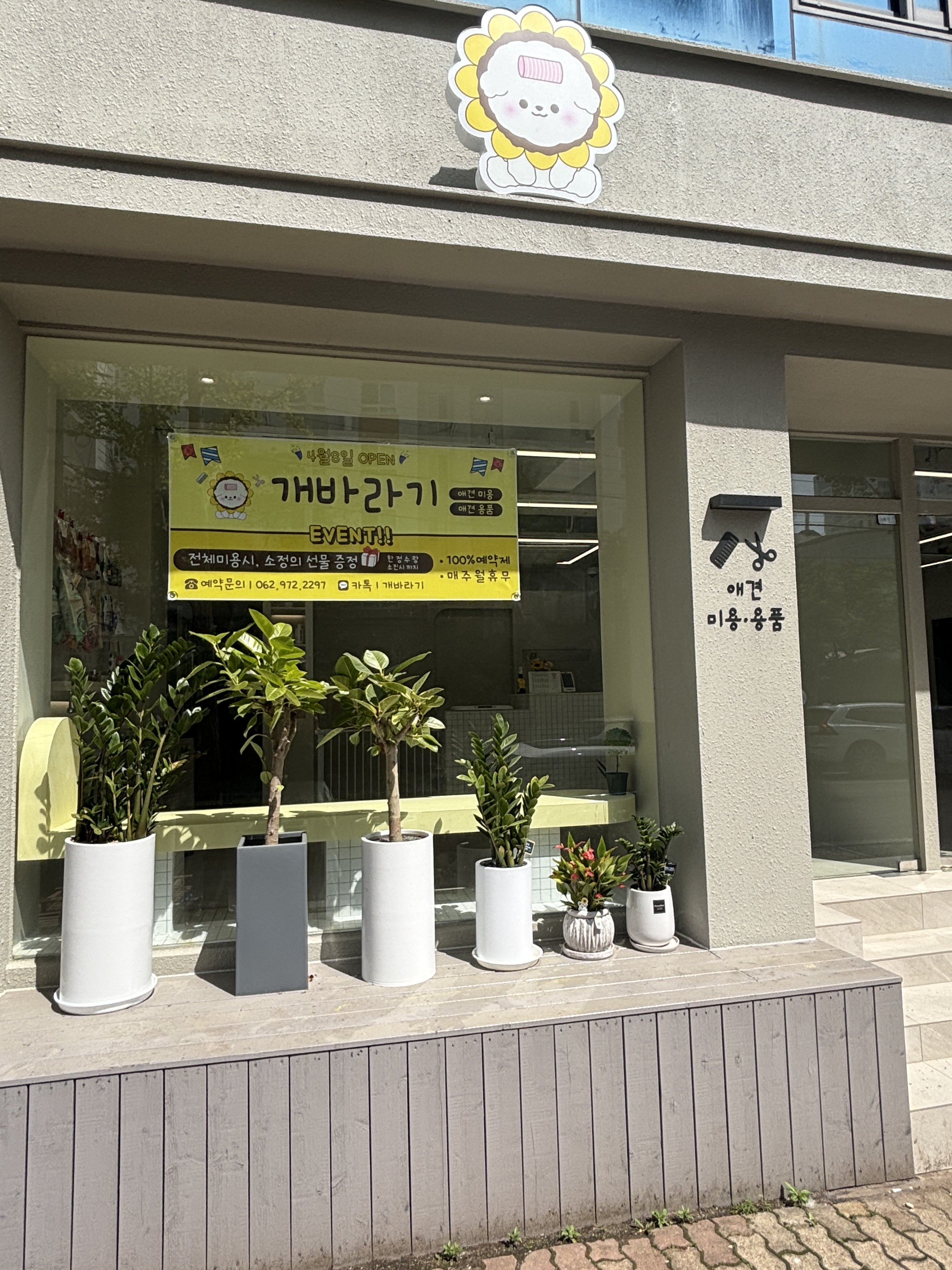 개바라기